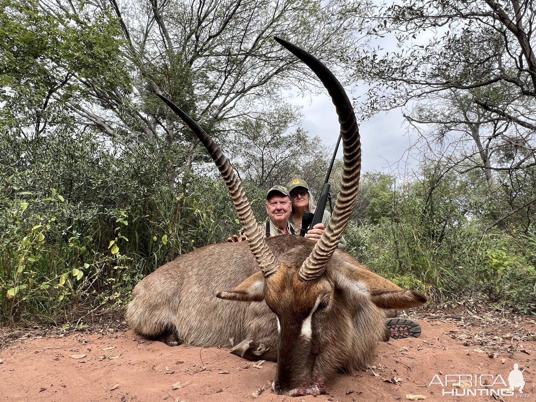 Waterbuck Hunting South Africa