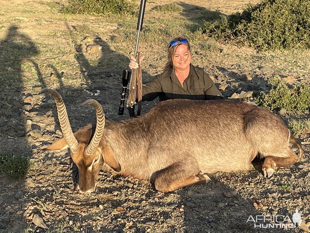 Waterbuck Hunting South Africa