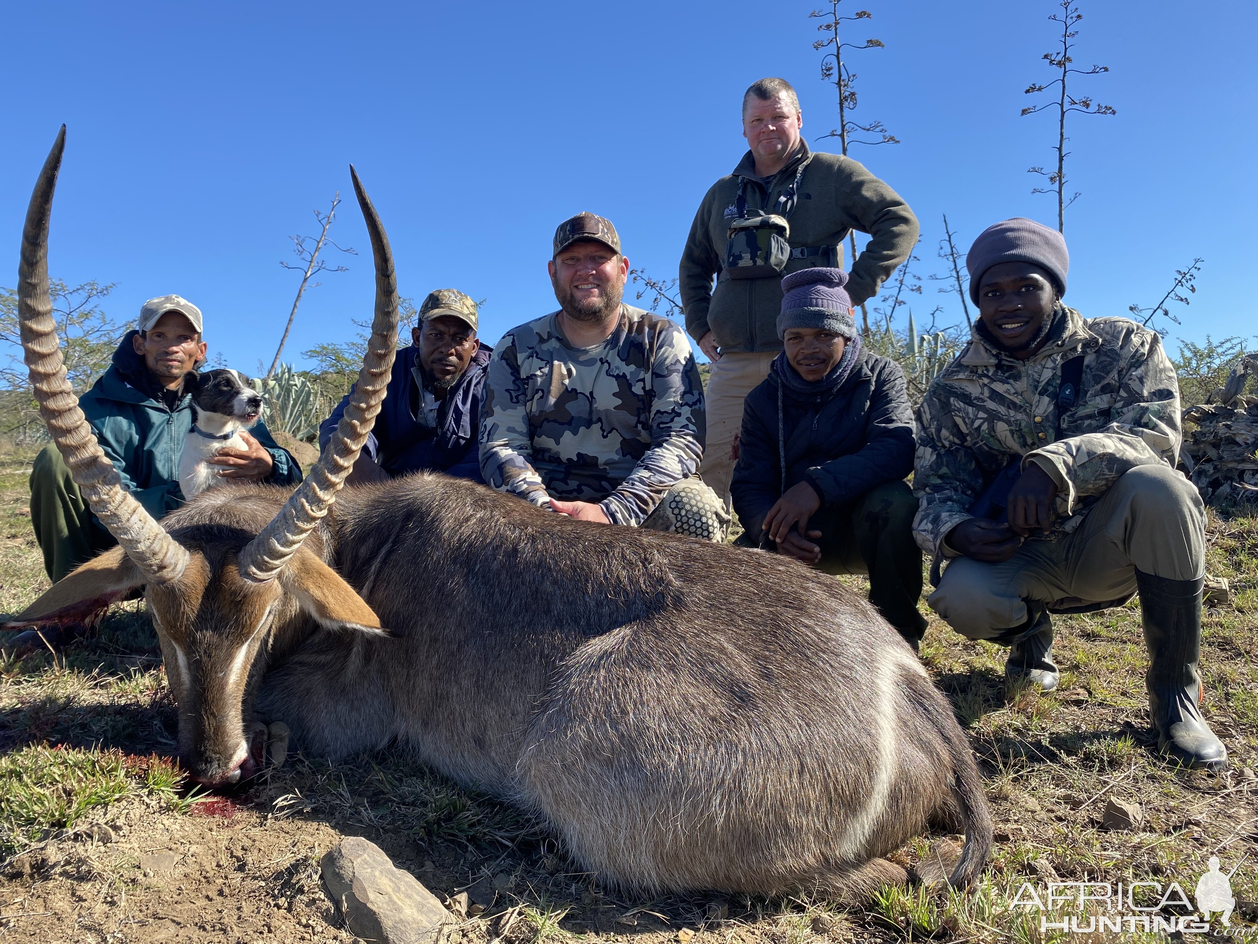 Waterbuck Hunting South Africa