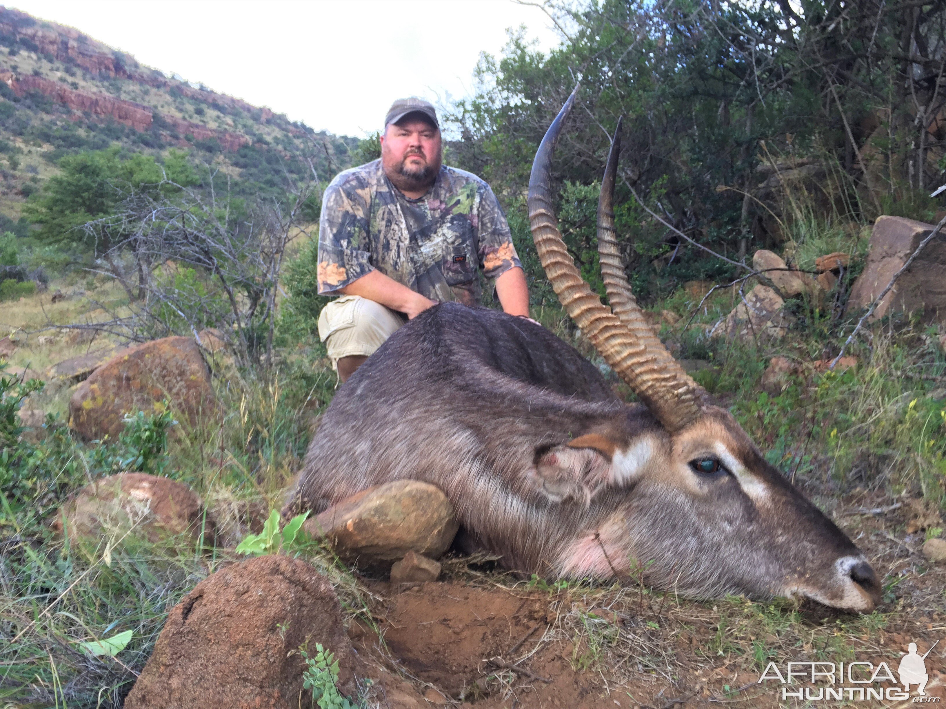 Waterbuck Hunting South Africa