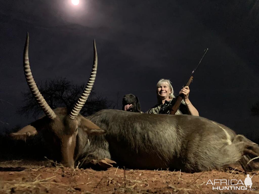 Waterbuck Hunting South Africa