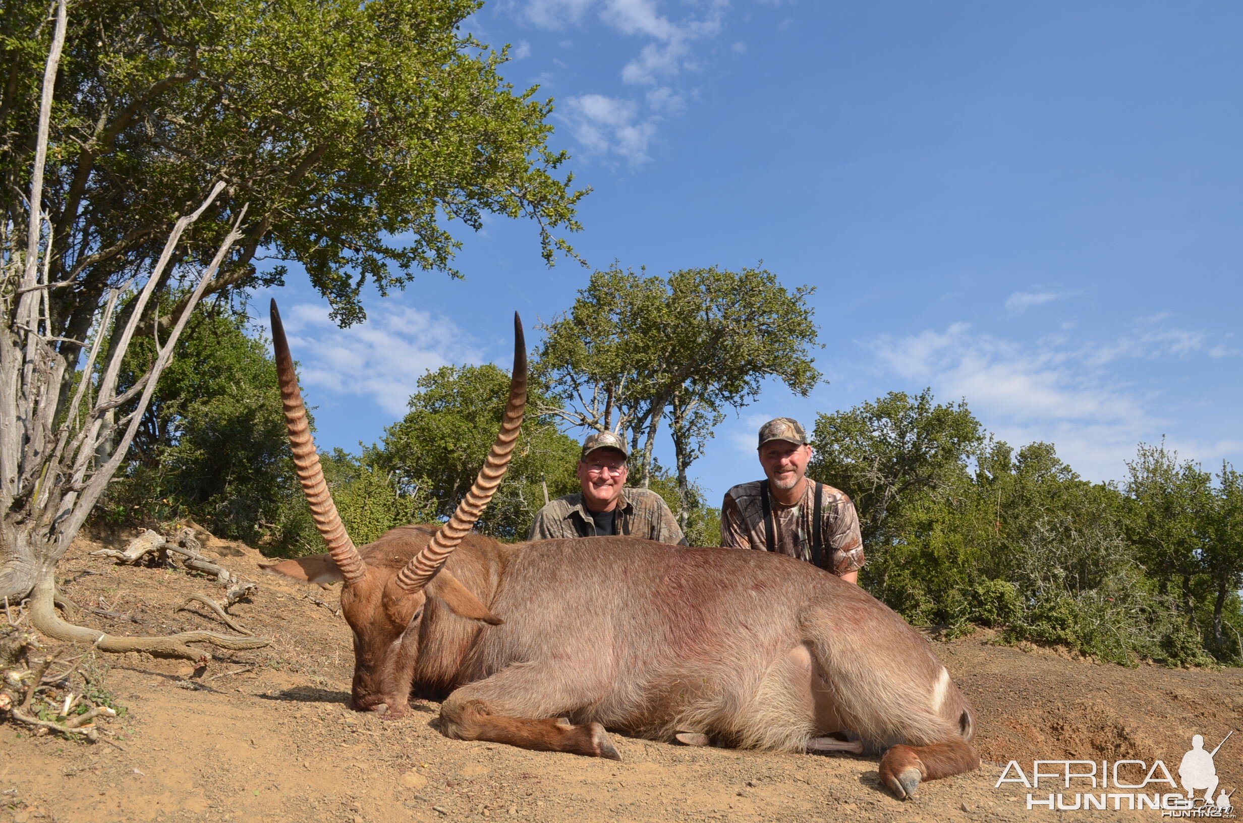 Waterbuck KMG Hunting Safaris