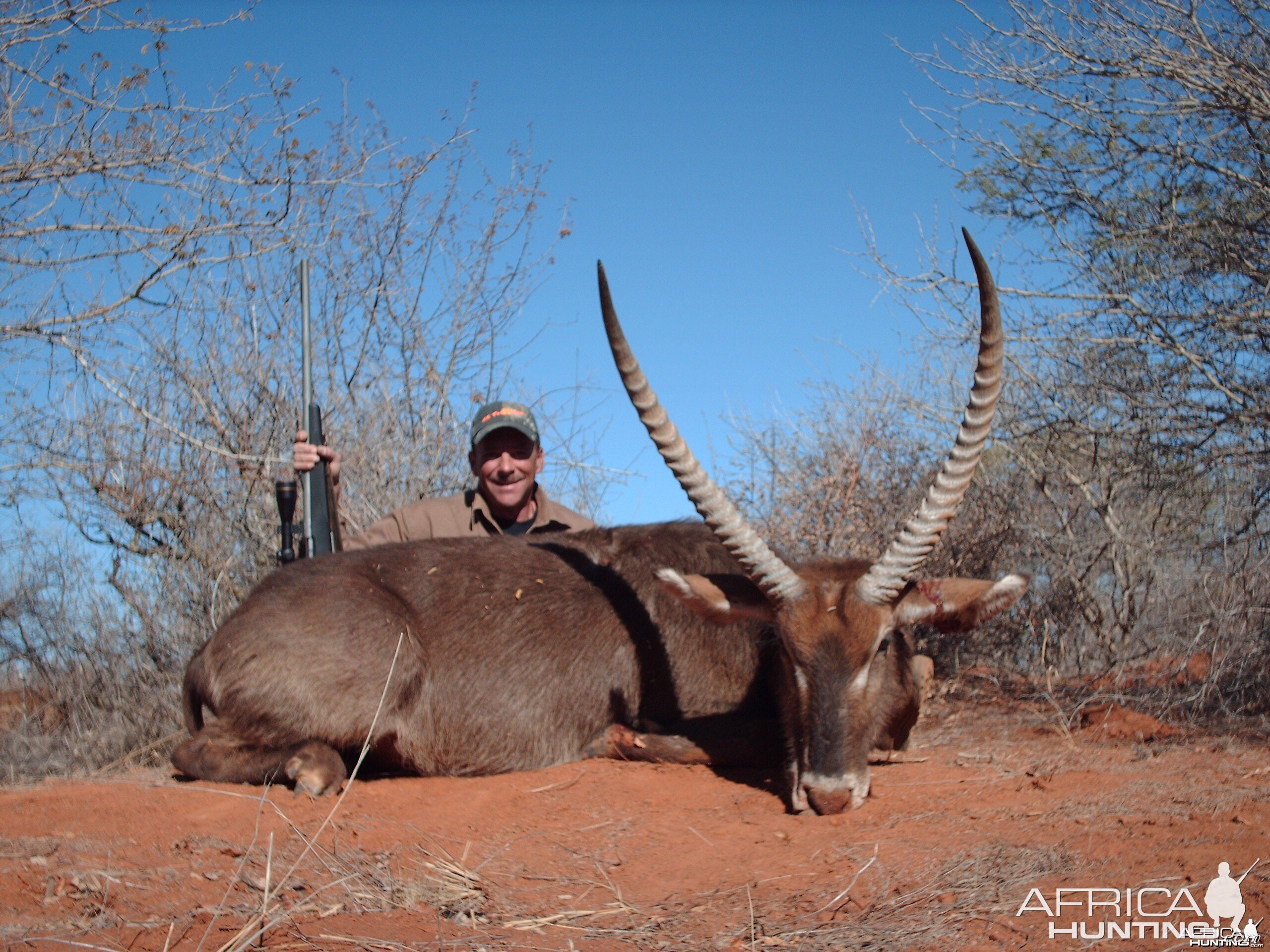 Waterbuck Limpopo 2007