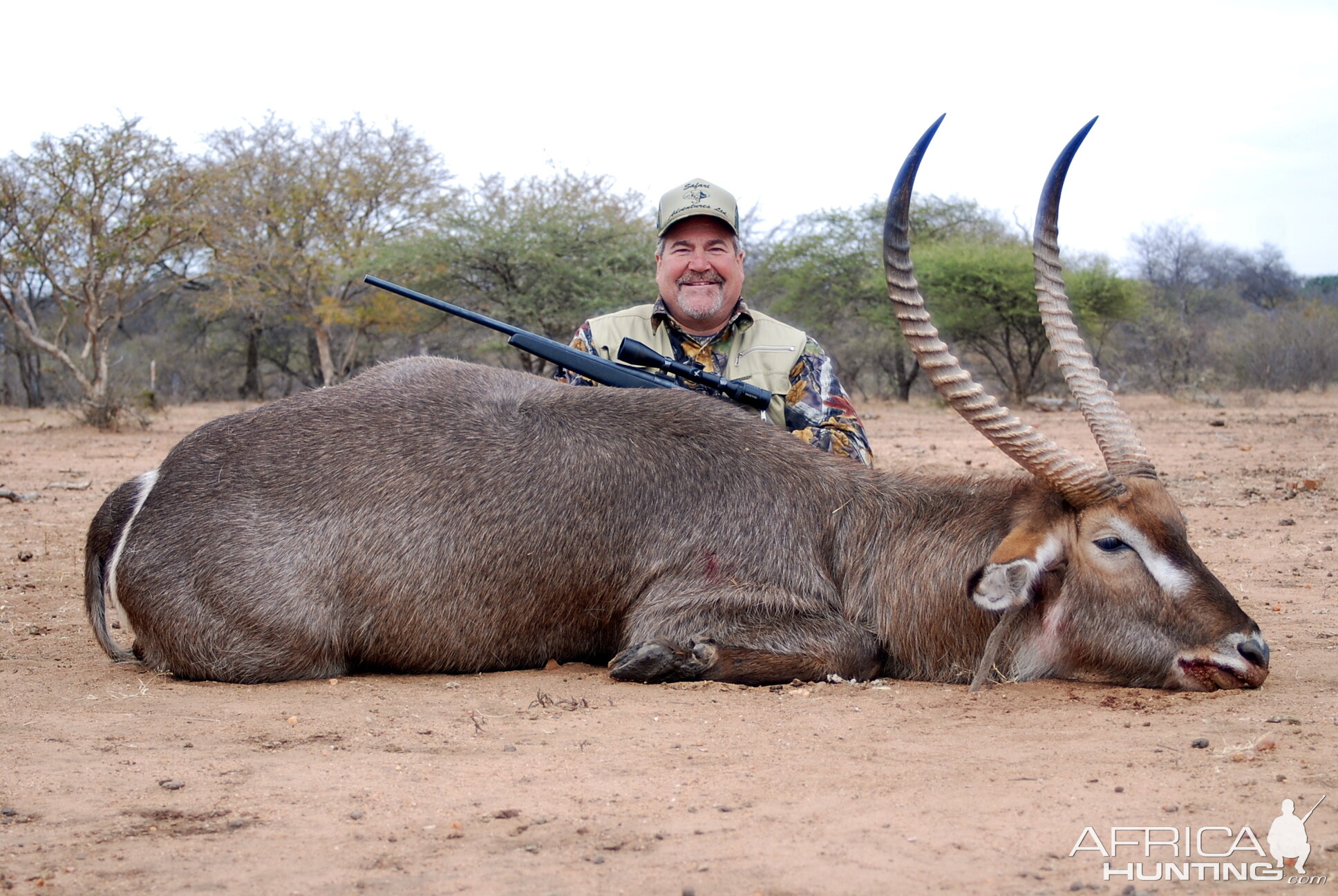 Waterbuck ~ Limpopo Valley RSA