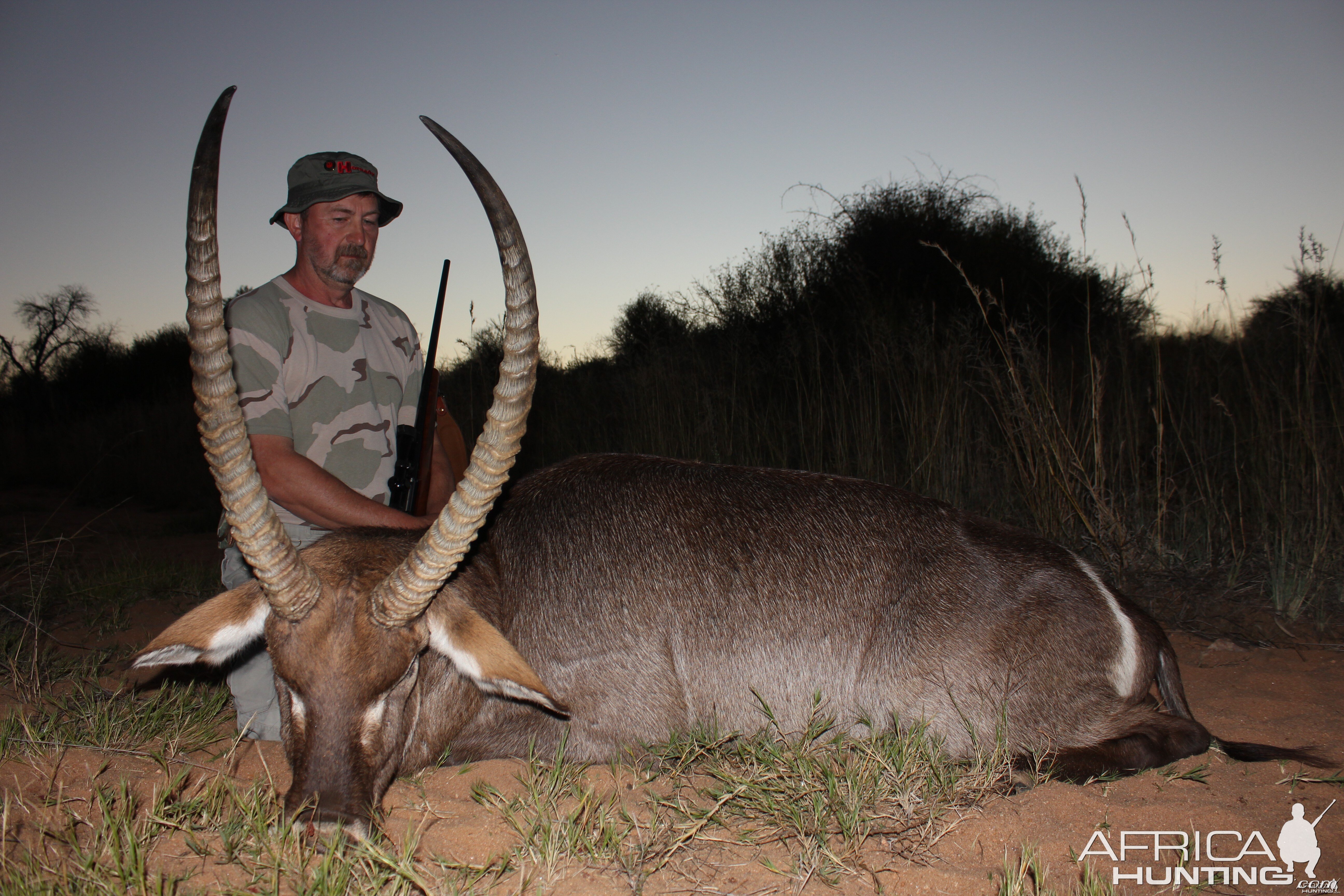 Waterbuck Namibia 2012