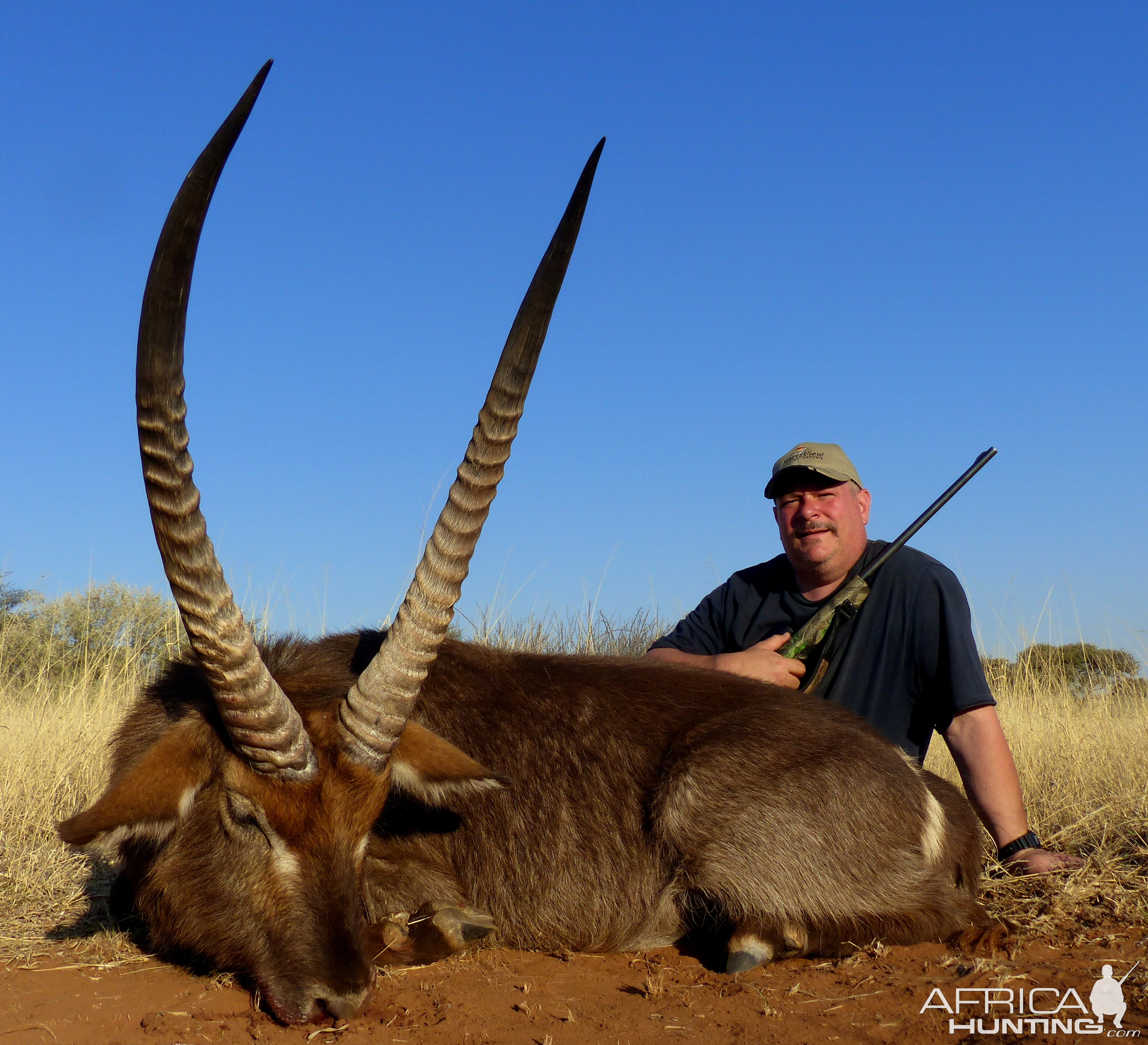 Waterbuck South Africa Hunt