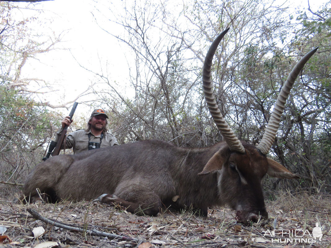 Waterbuck South Africa Hunt