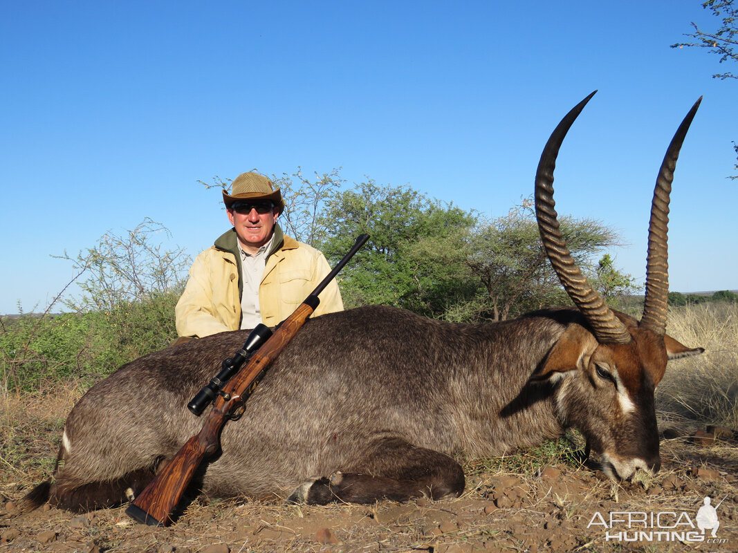 Waterbuck South Africa Hunt