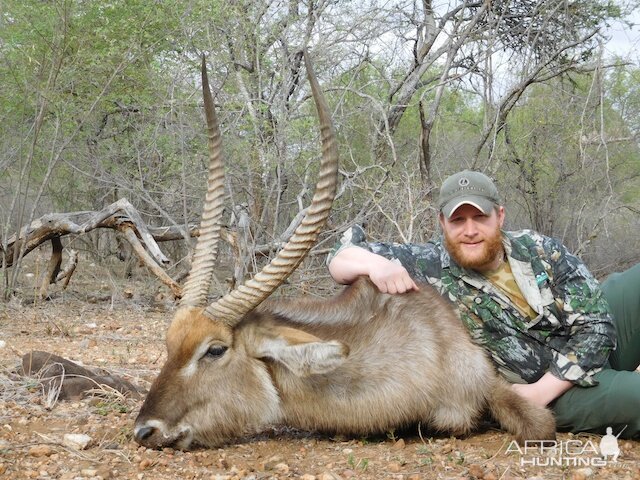 Waterbuck South Africa Hunt