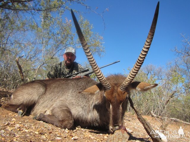 Waterbuck South Africa Hunt