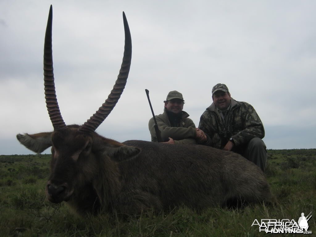 Waterbuck South Africa