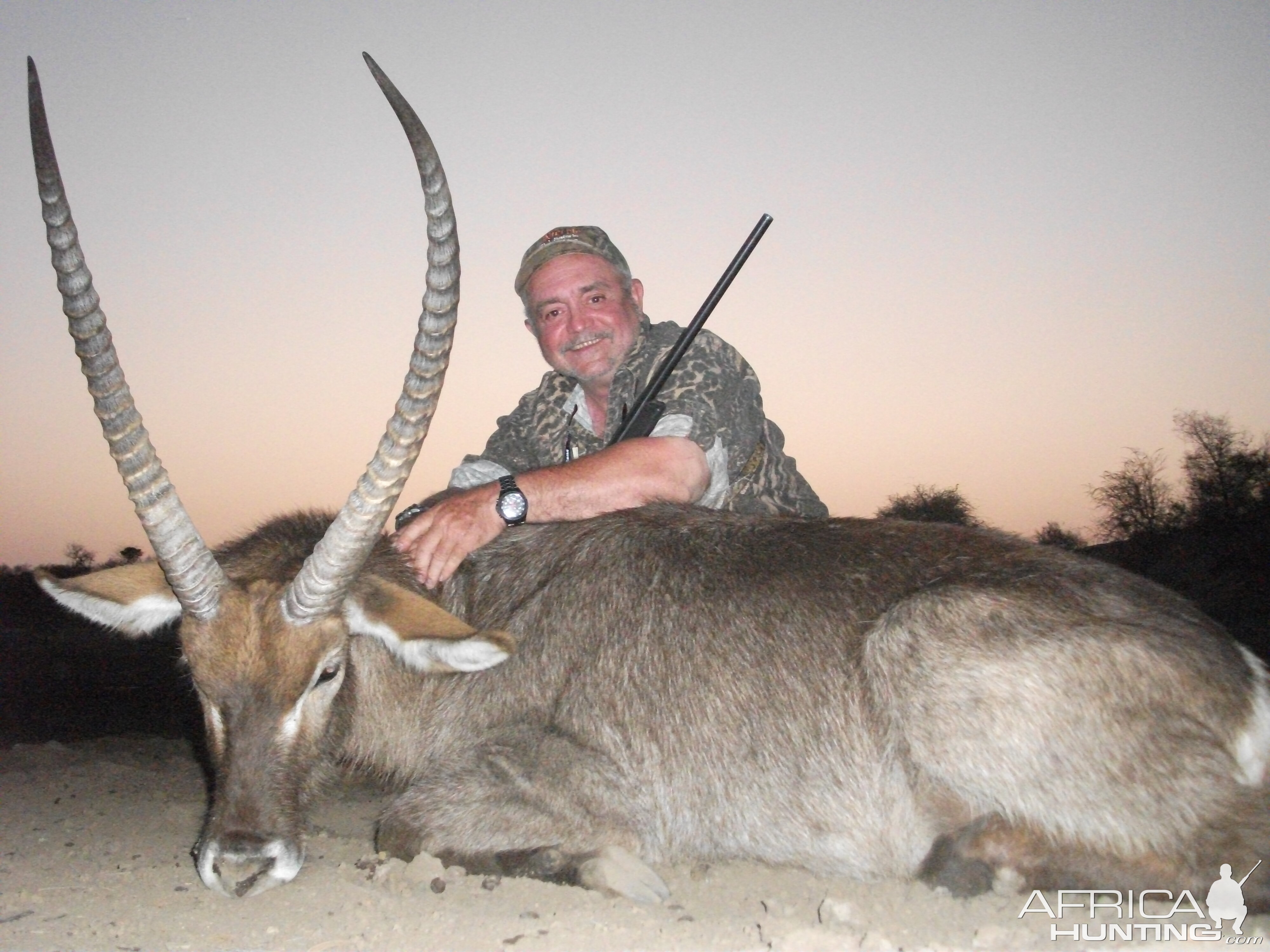 Waterbuck South Africa