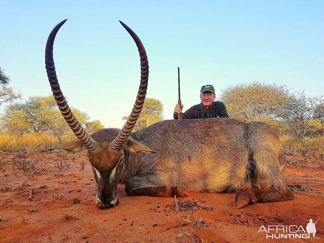 Waterbuck South Africa