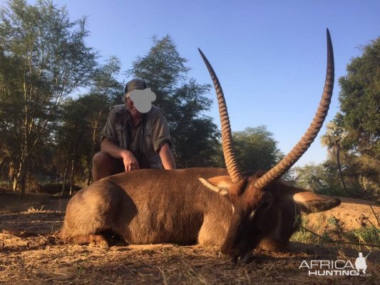 Waterbuck Zimbabwe  Hunt