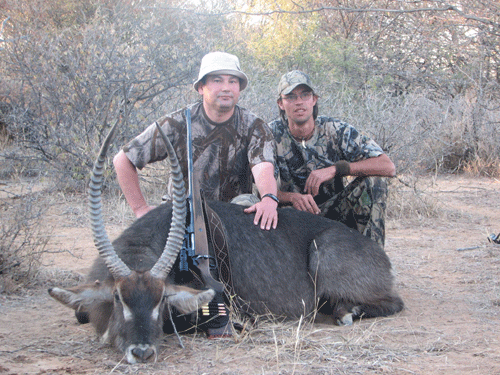 Waterbuck