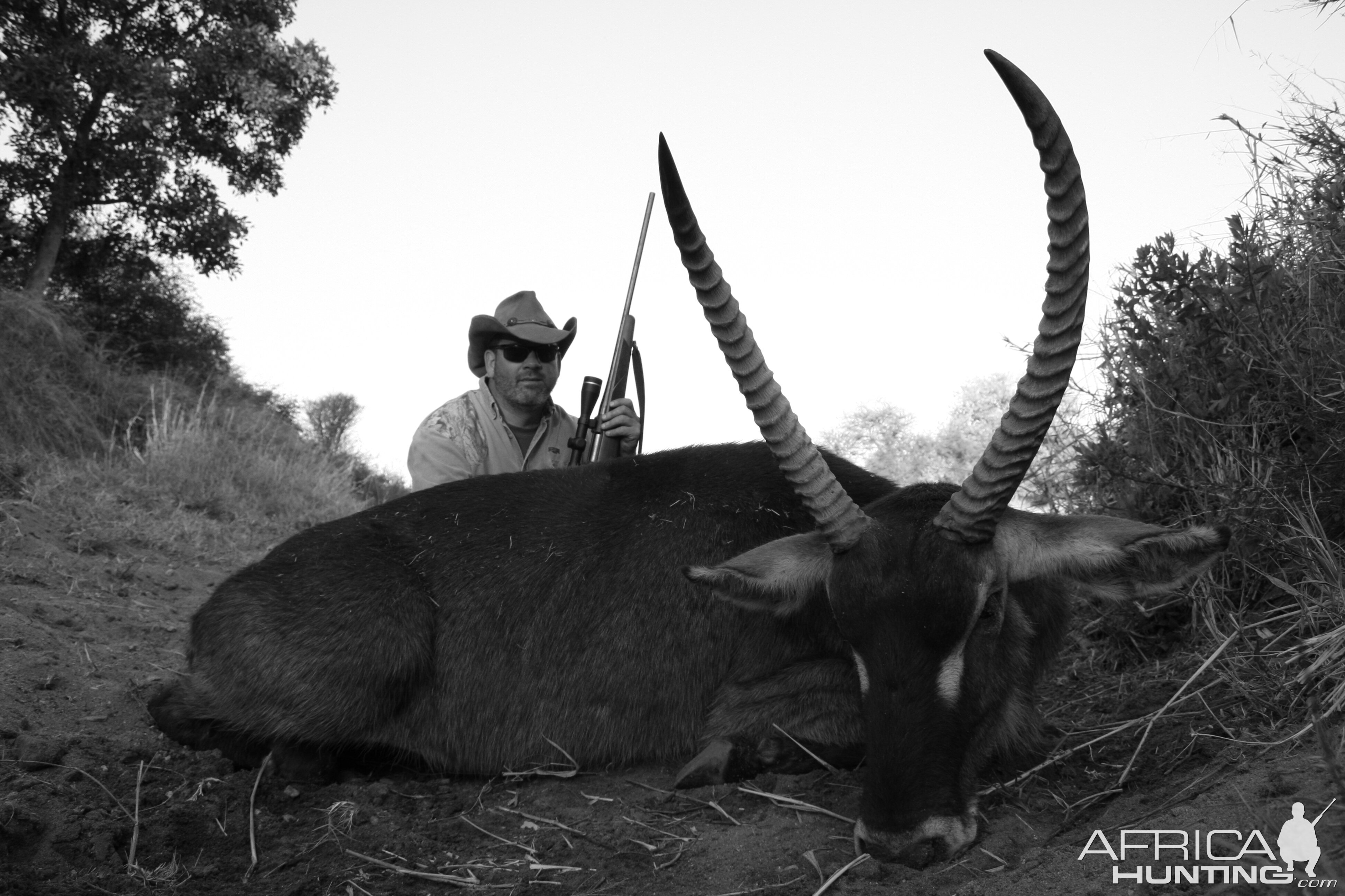 Waterbuck