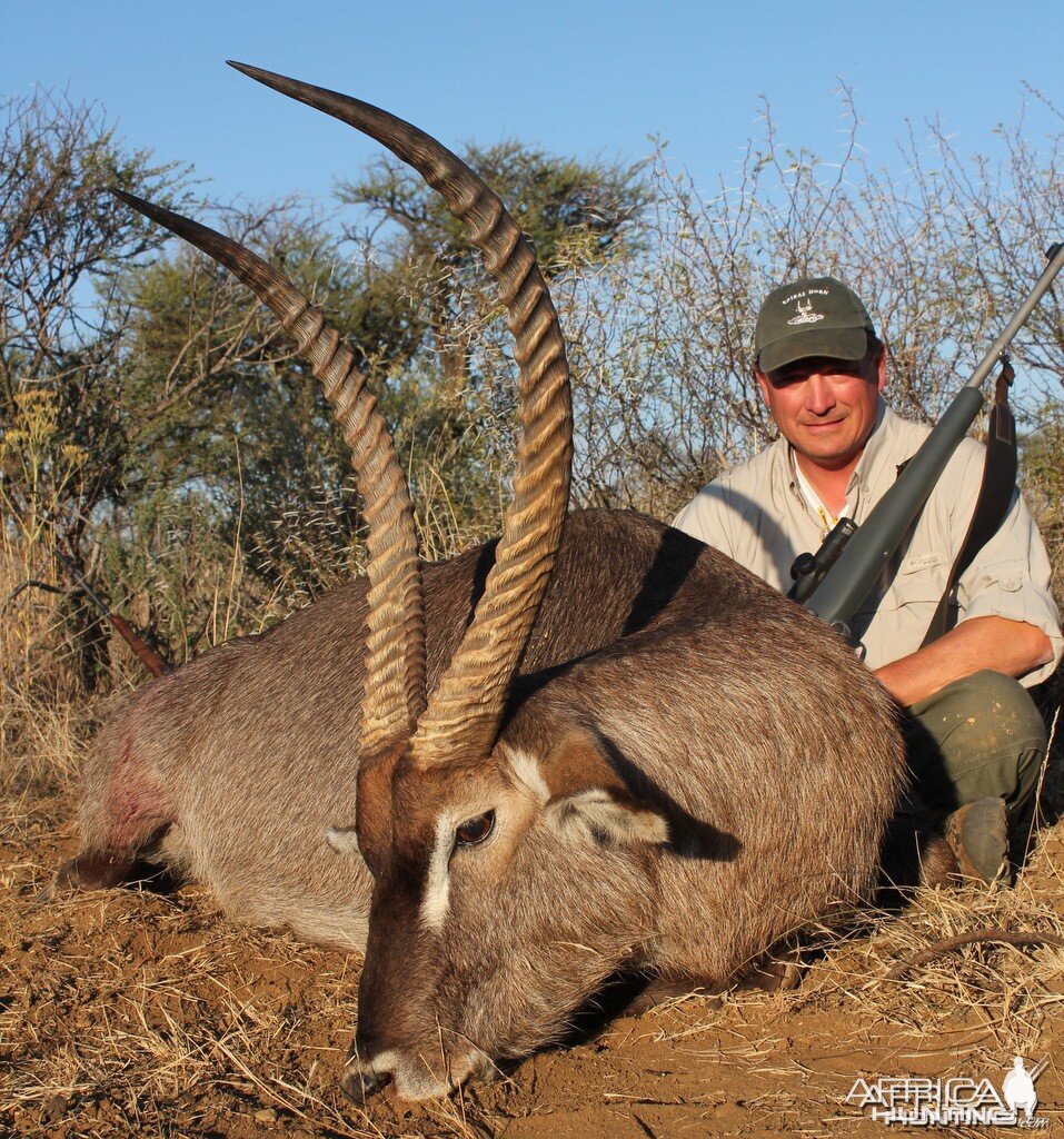 Waterbuck