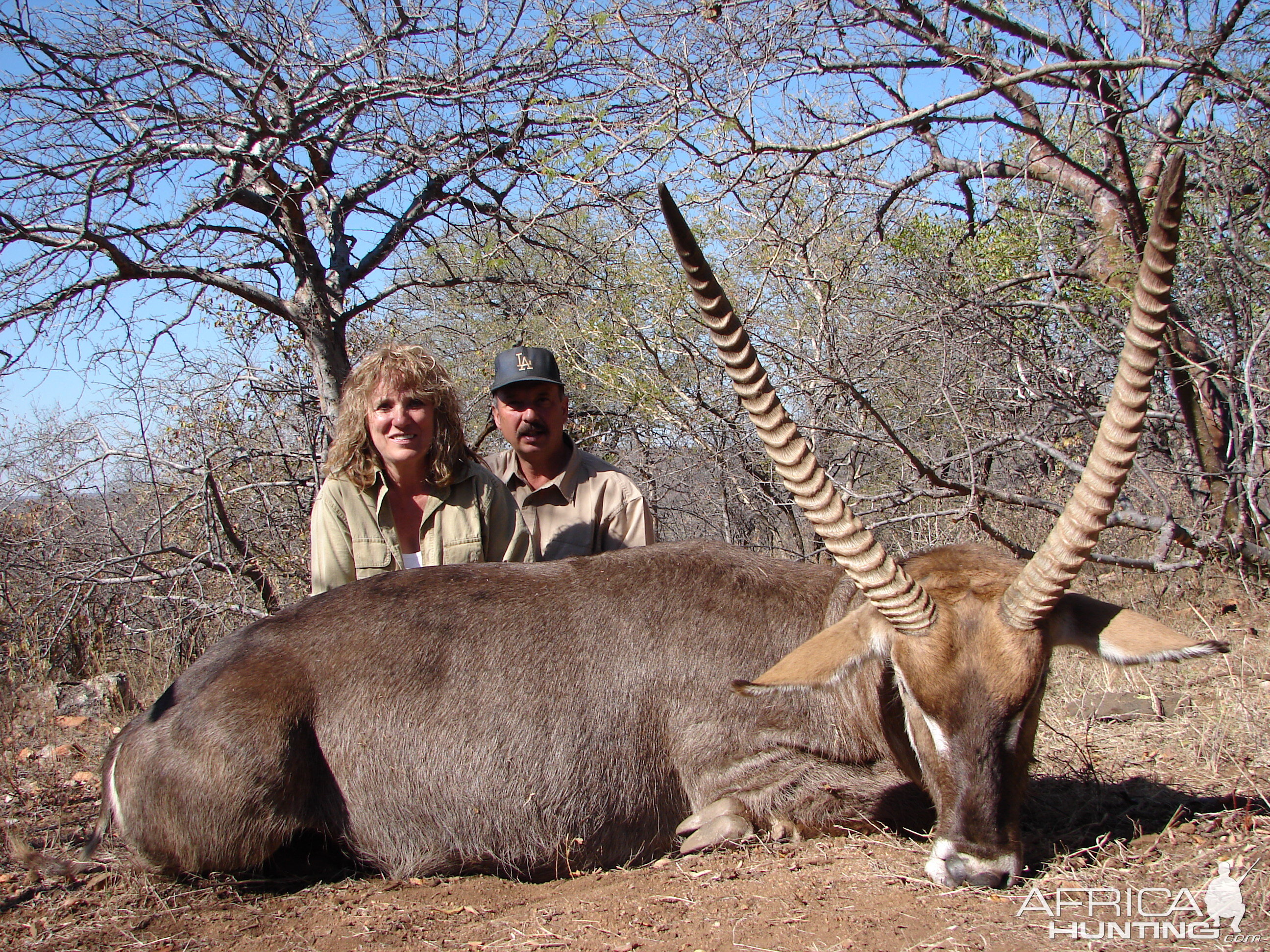 Waterbuck