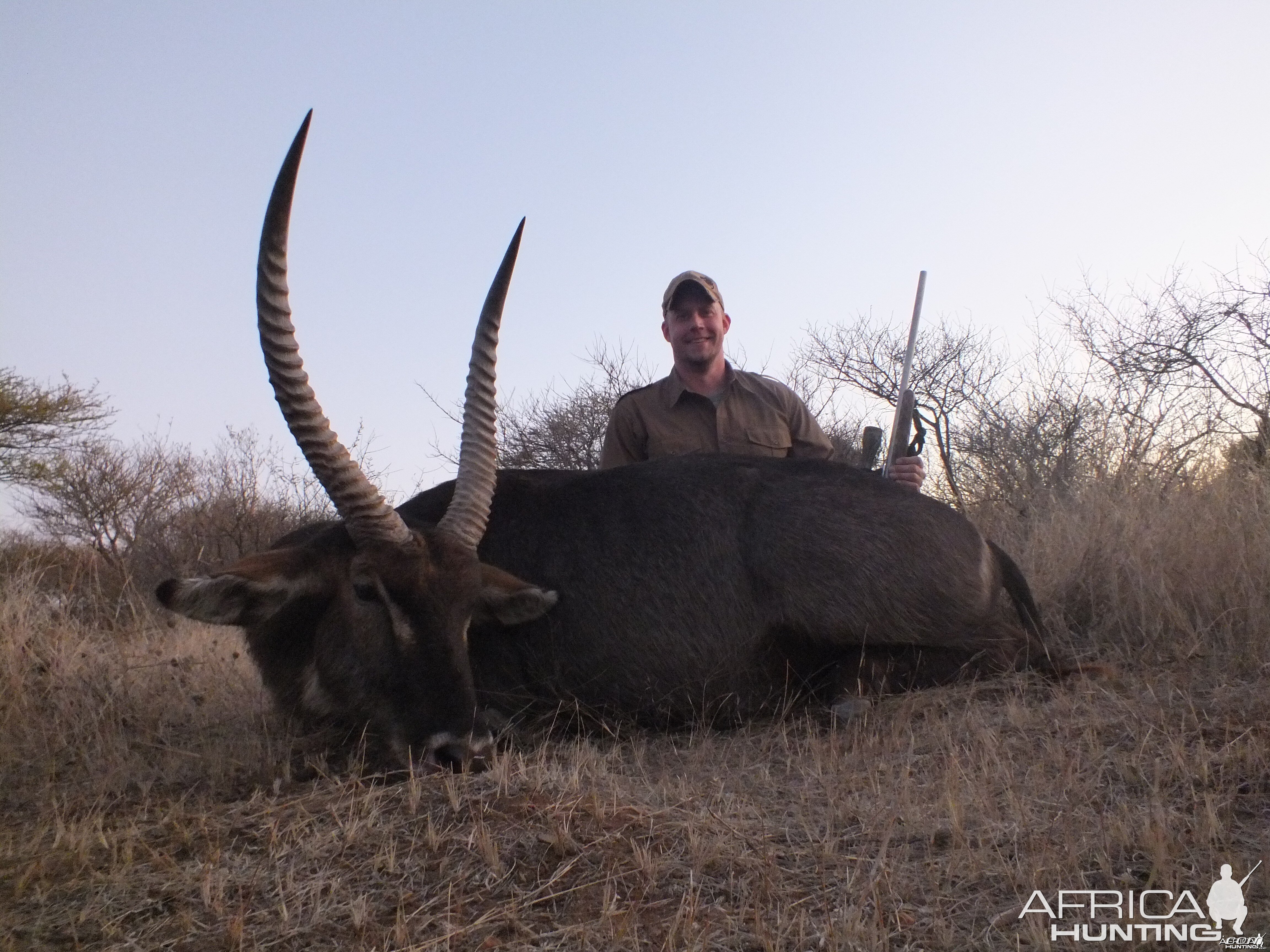 Waterbuck