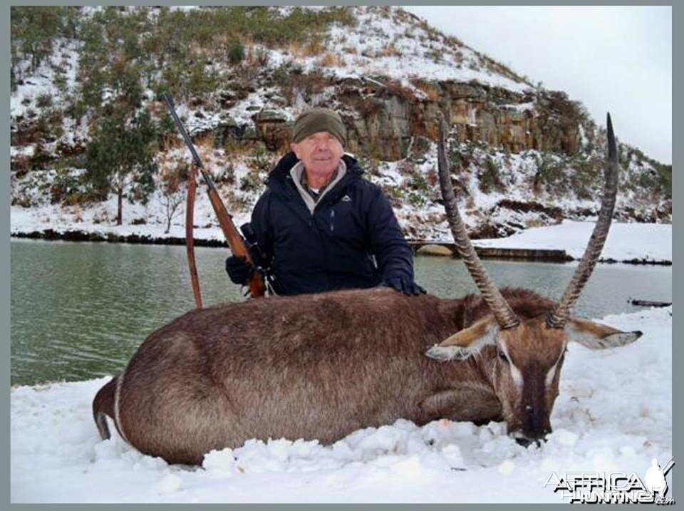 Waterbuck