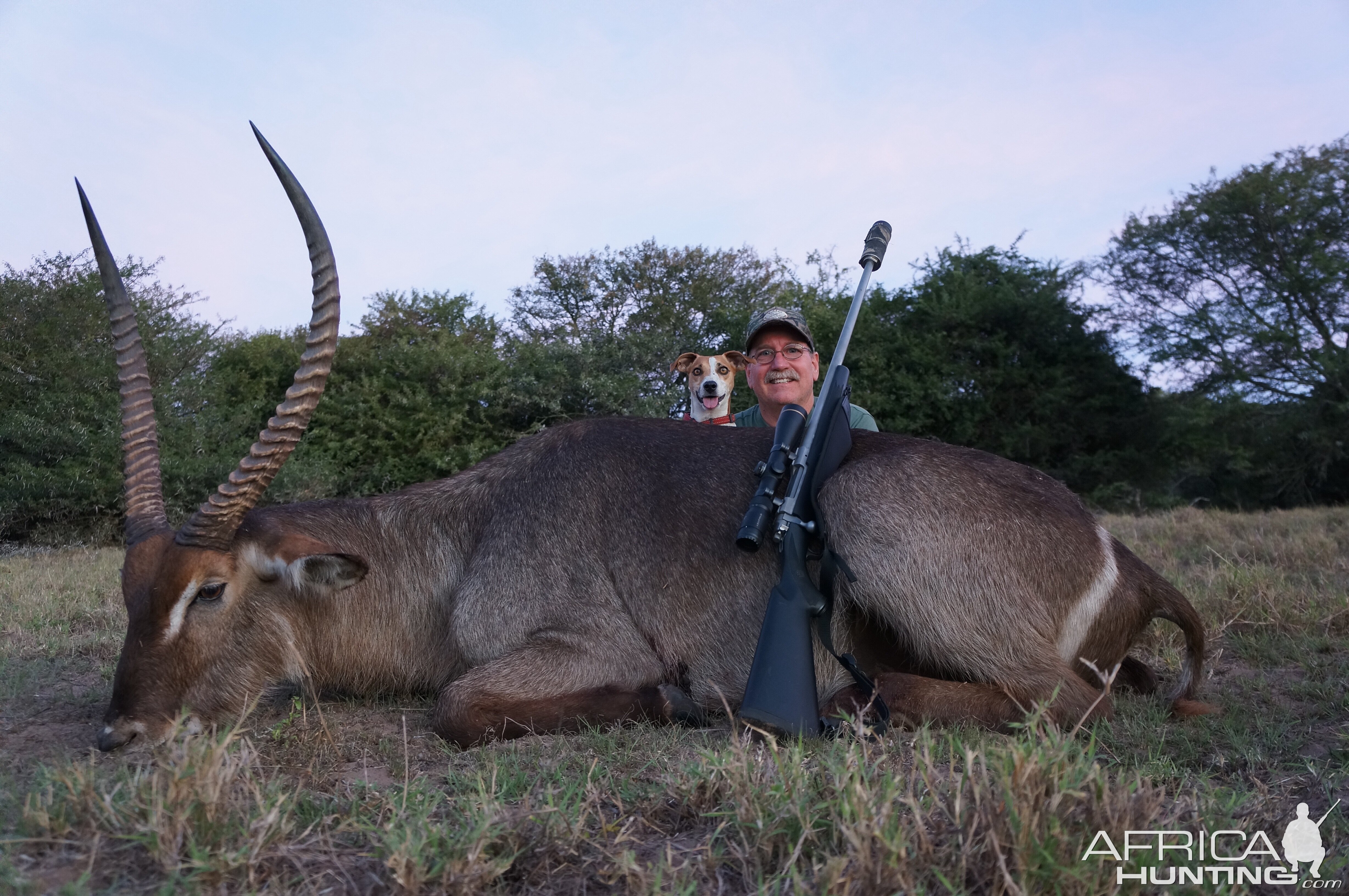 Waterbuck