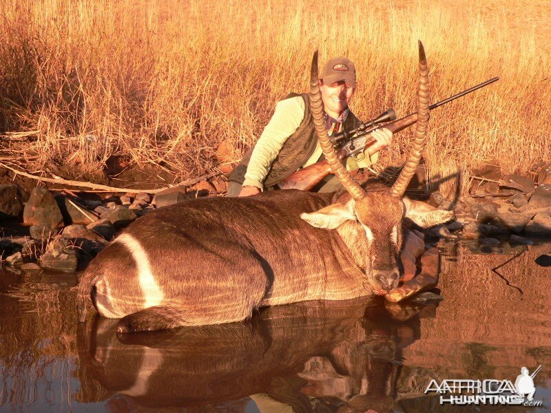 waterbuck