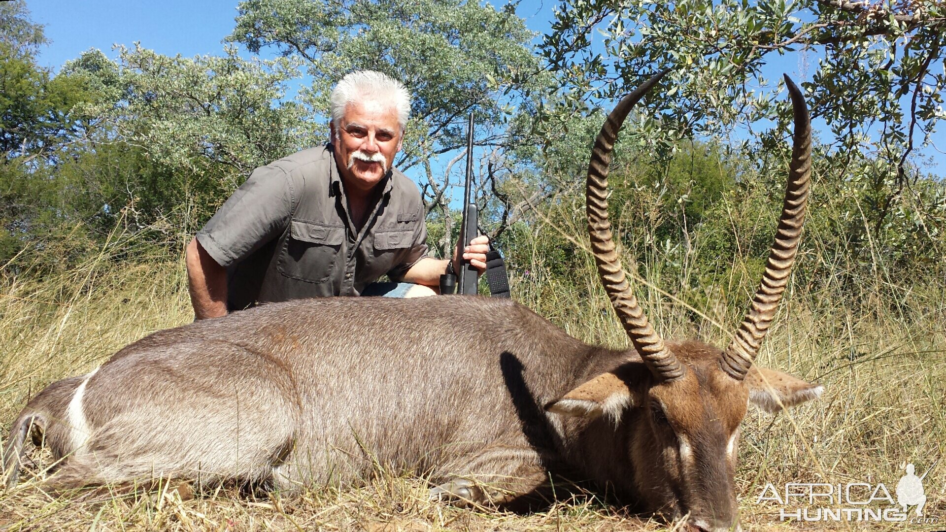 Waterbuck