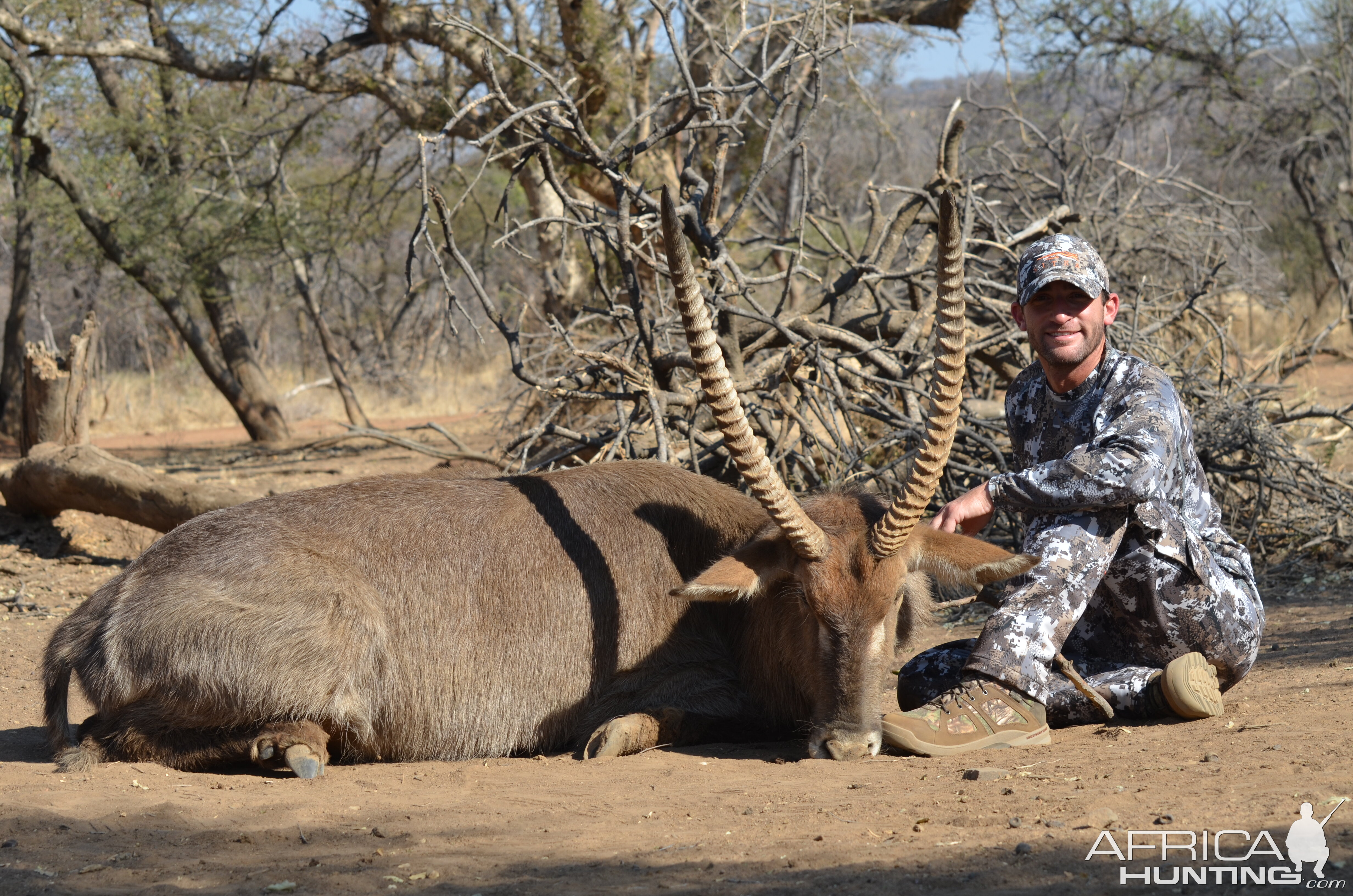 Waterbuck