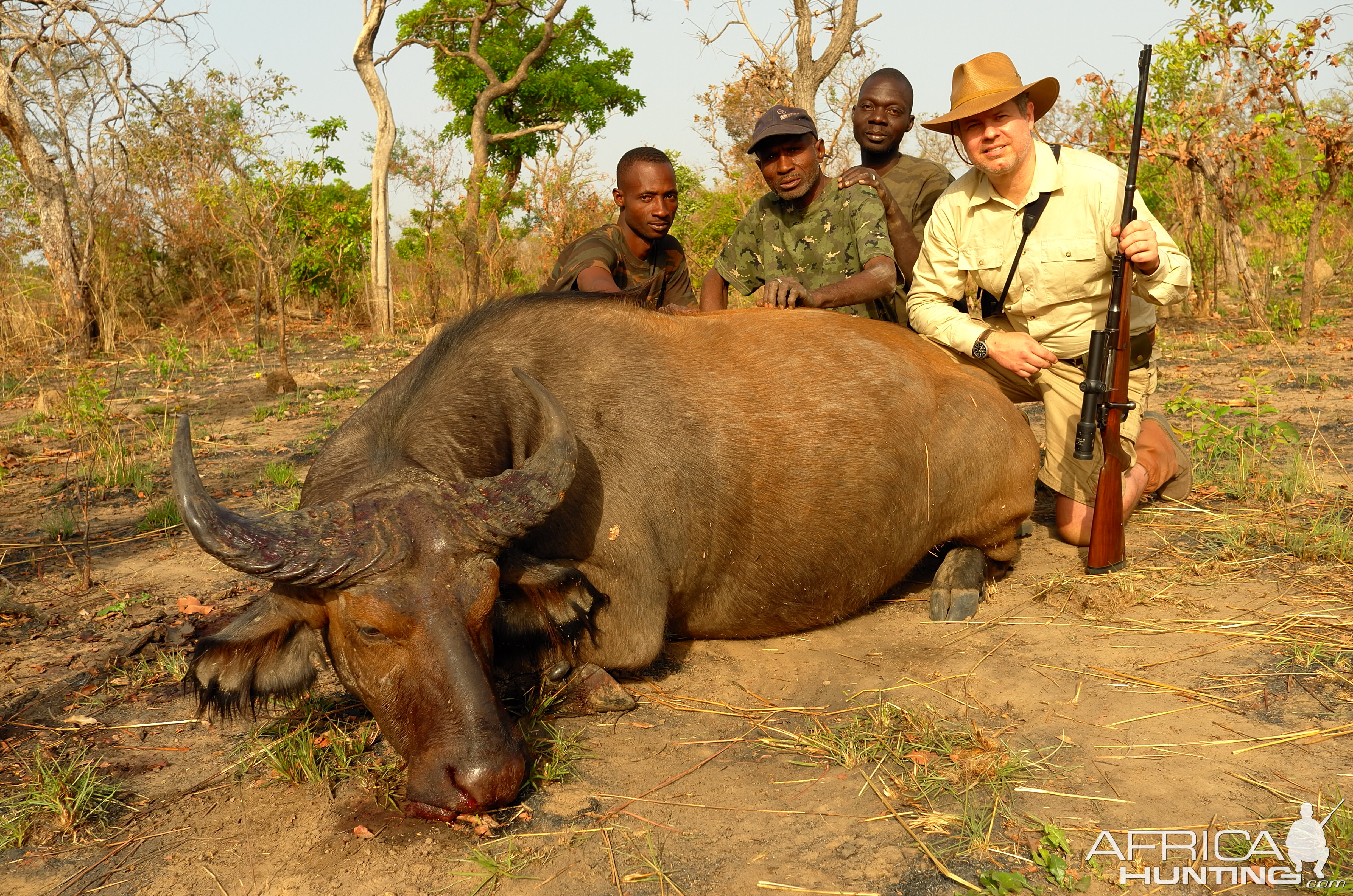 West African Savanna Buffalo Hunt in Benin