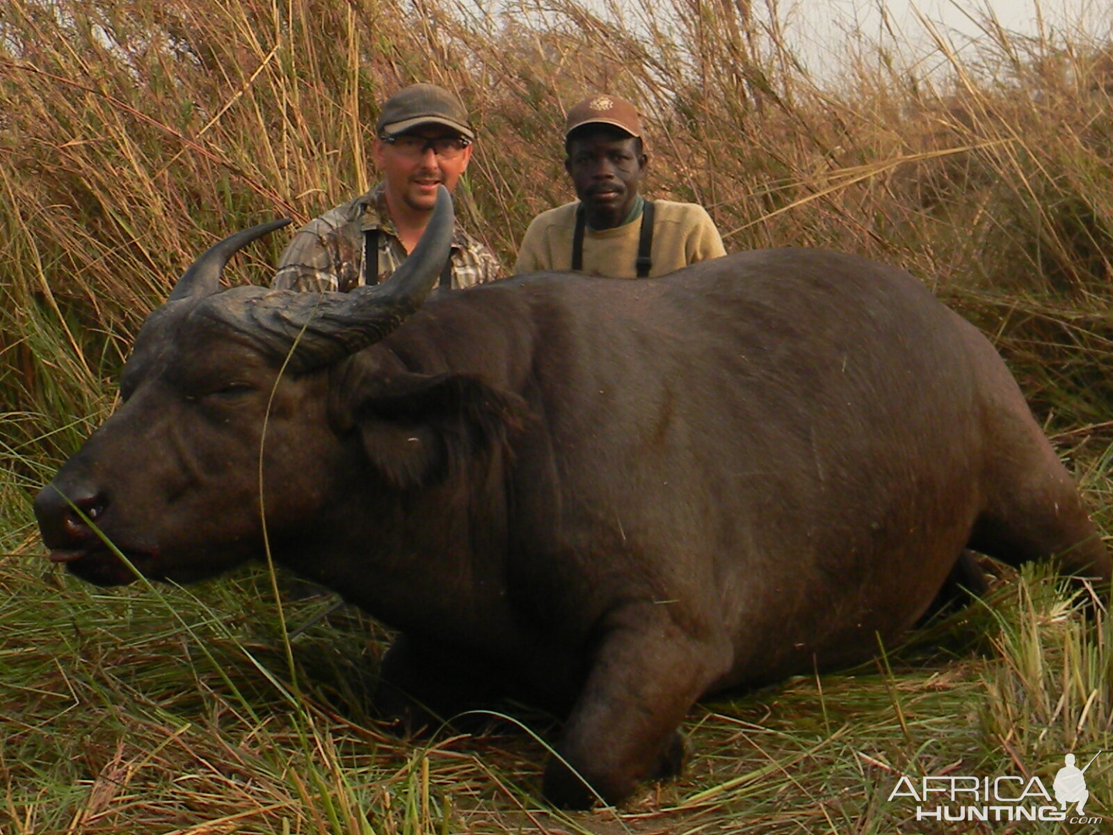 West African Savannah Buffalo hunted in Benin with Club Faune