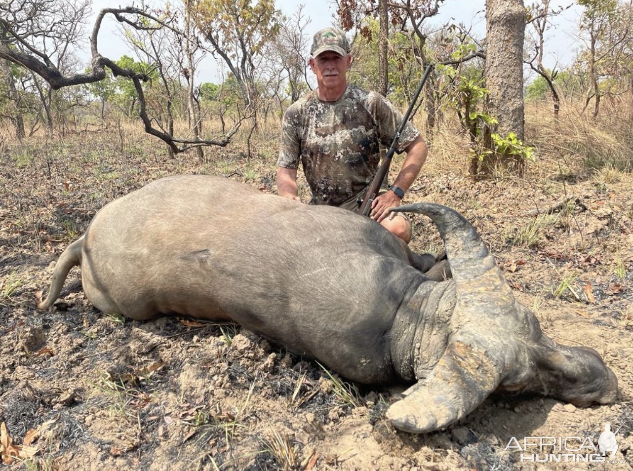 Western Buffalo Hunt Cameroon