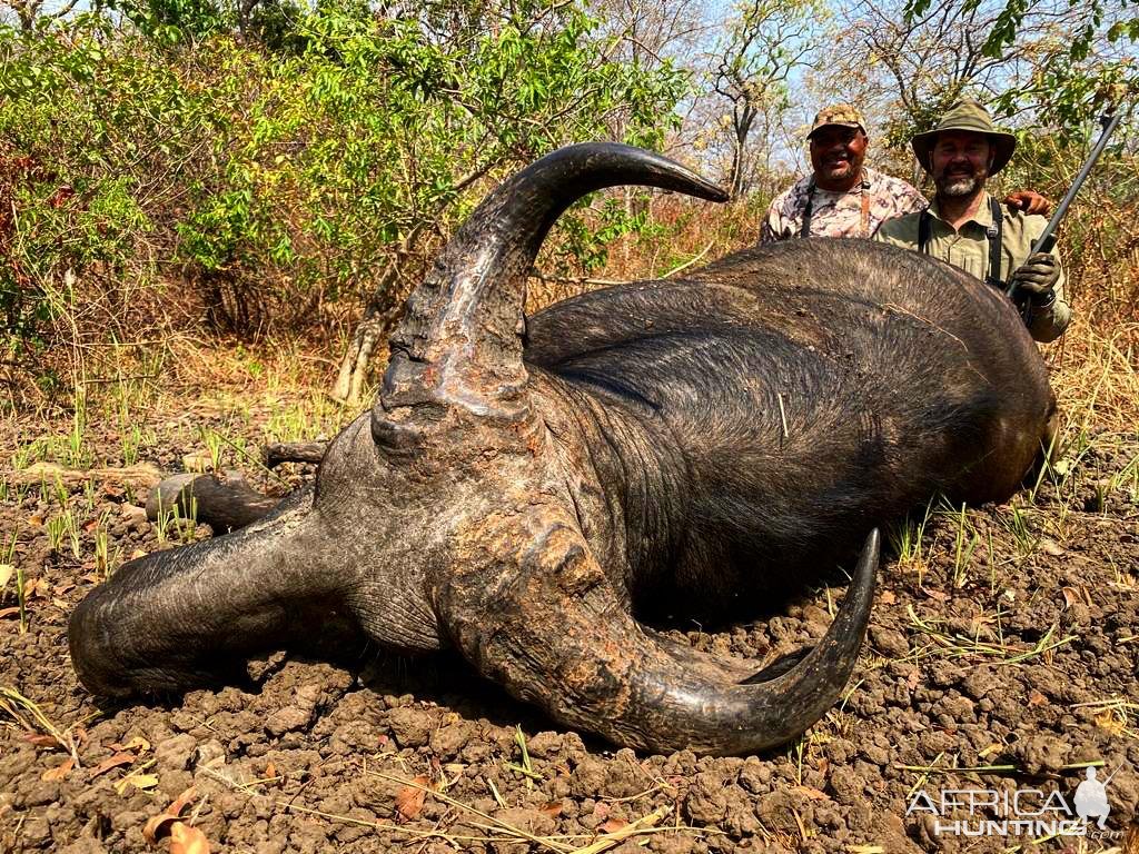 Western Buffalo Hunting North Cameroon