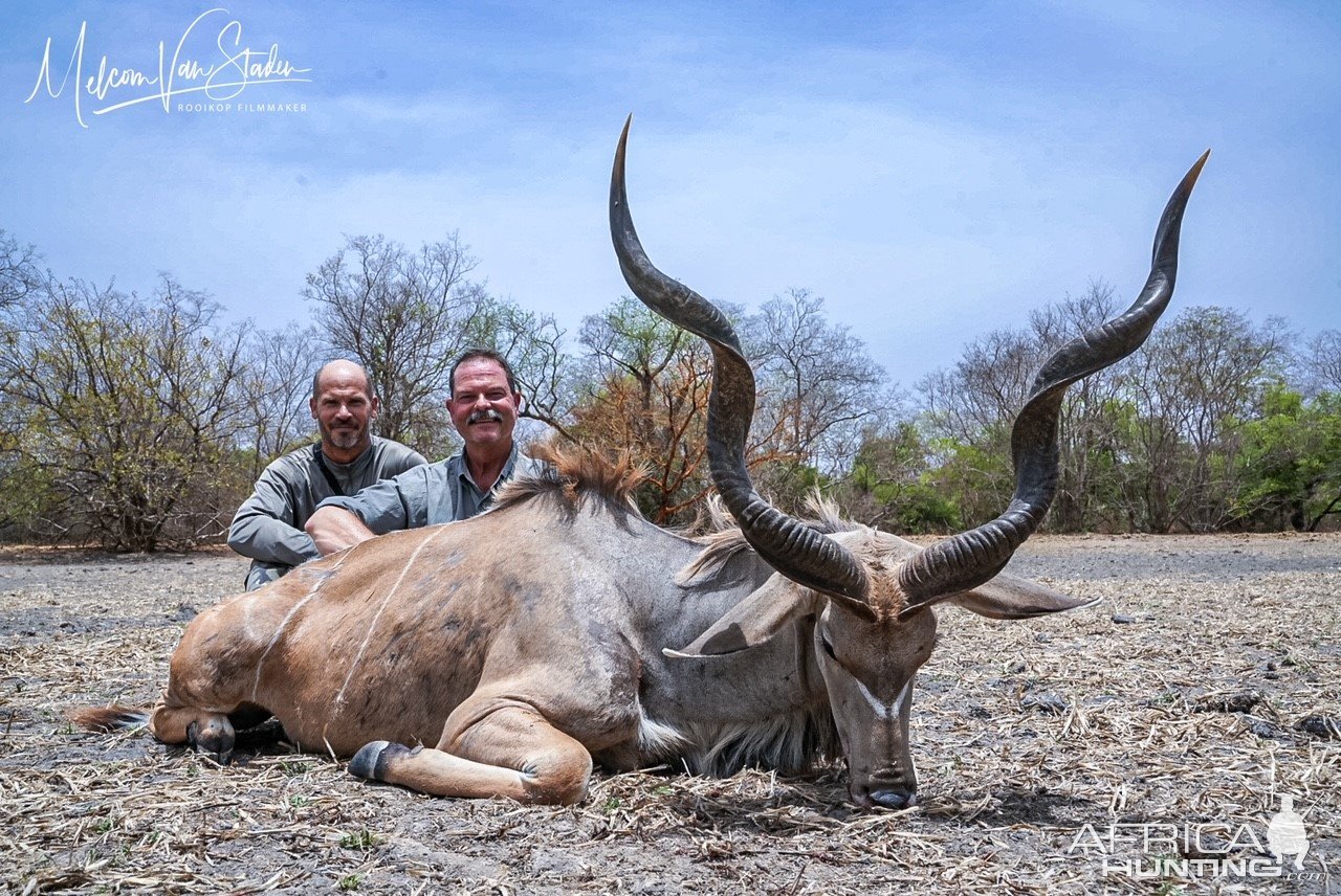 Western Greater Kudu Hunt Chad