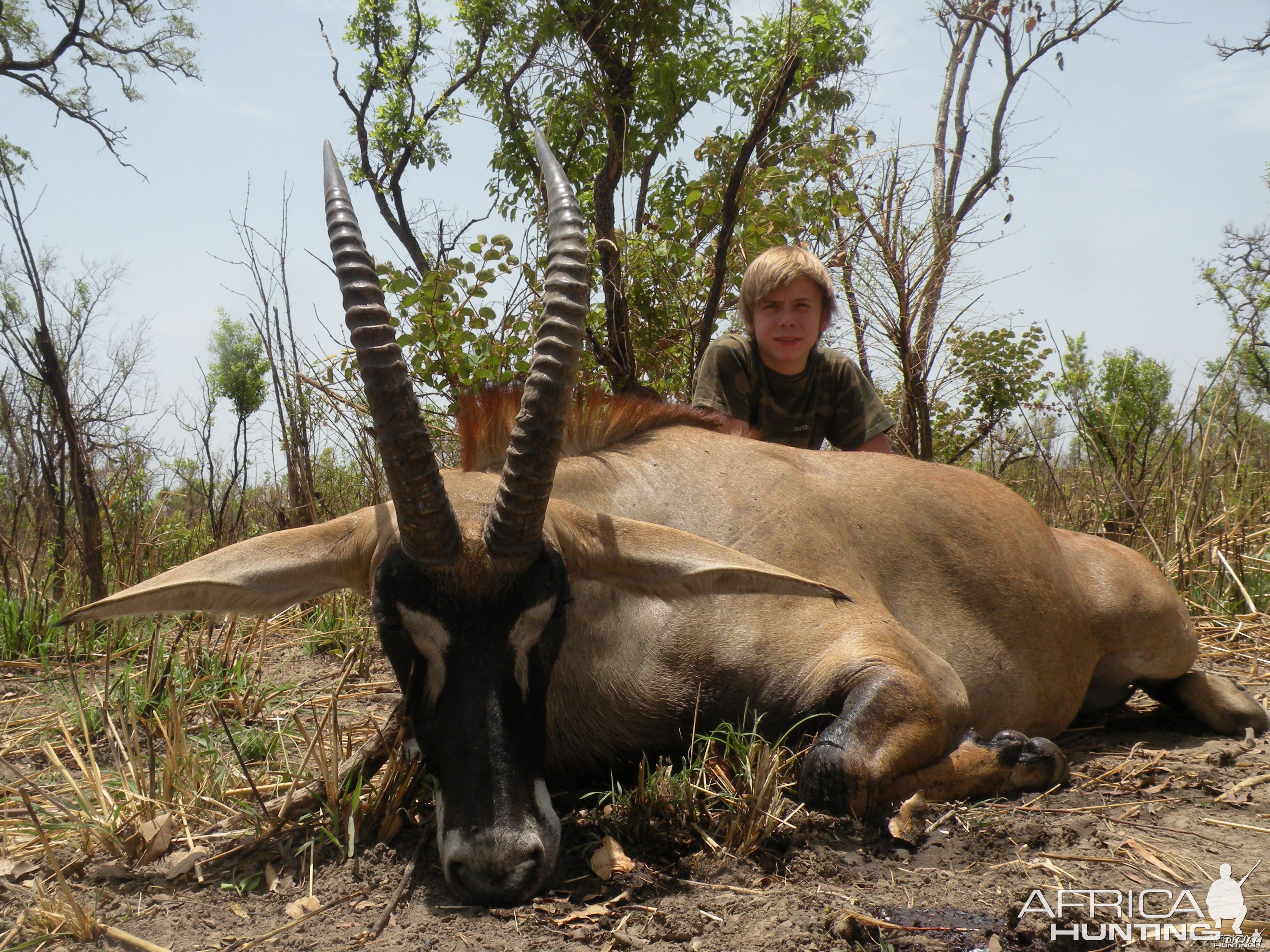 Western Roan Antelope hunted in Benin with Club Faune