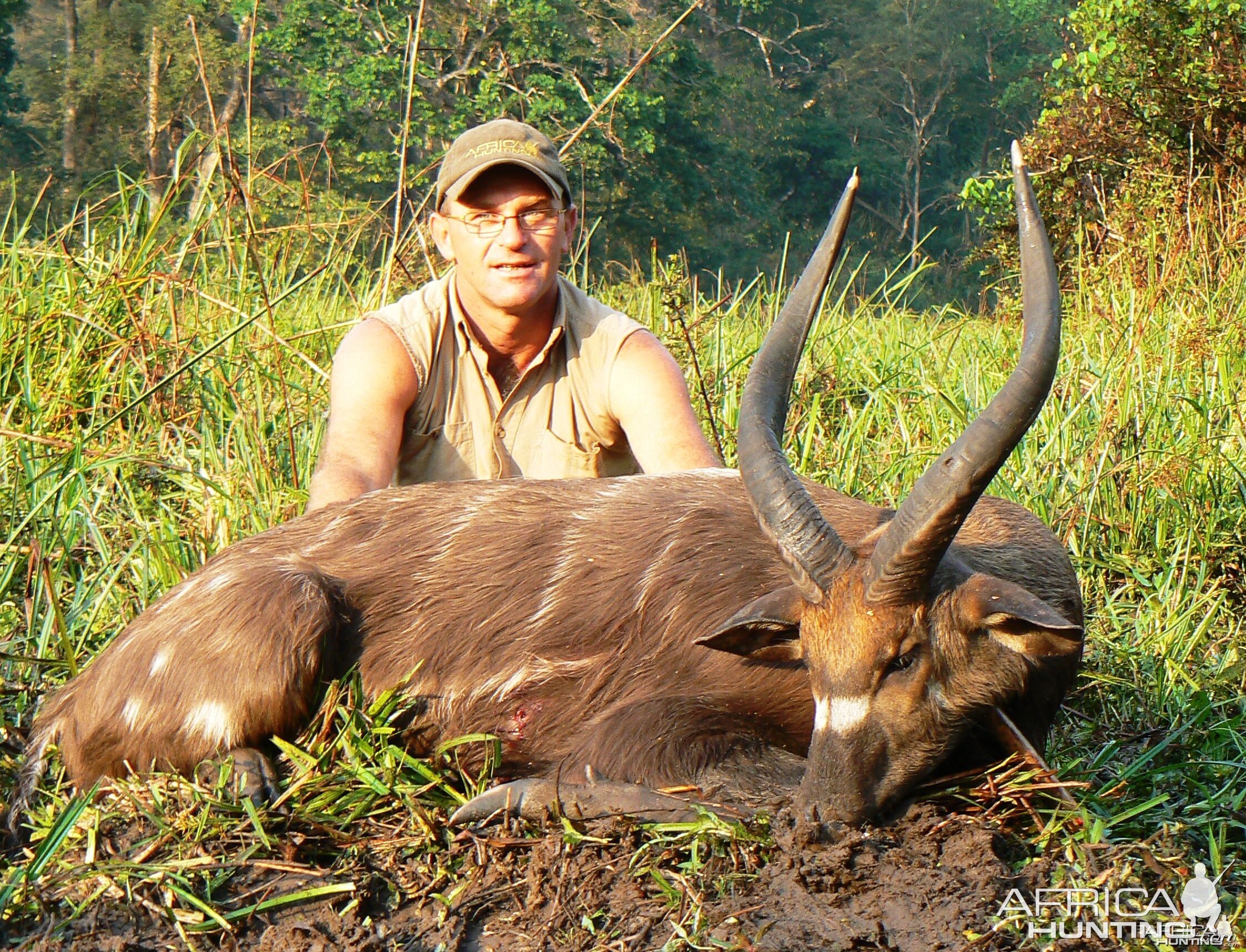 Western Sitatunga, 24 1/2 inch CAR