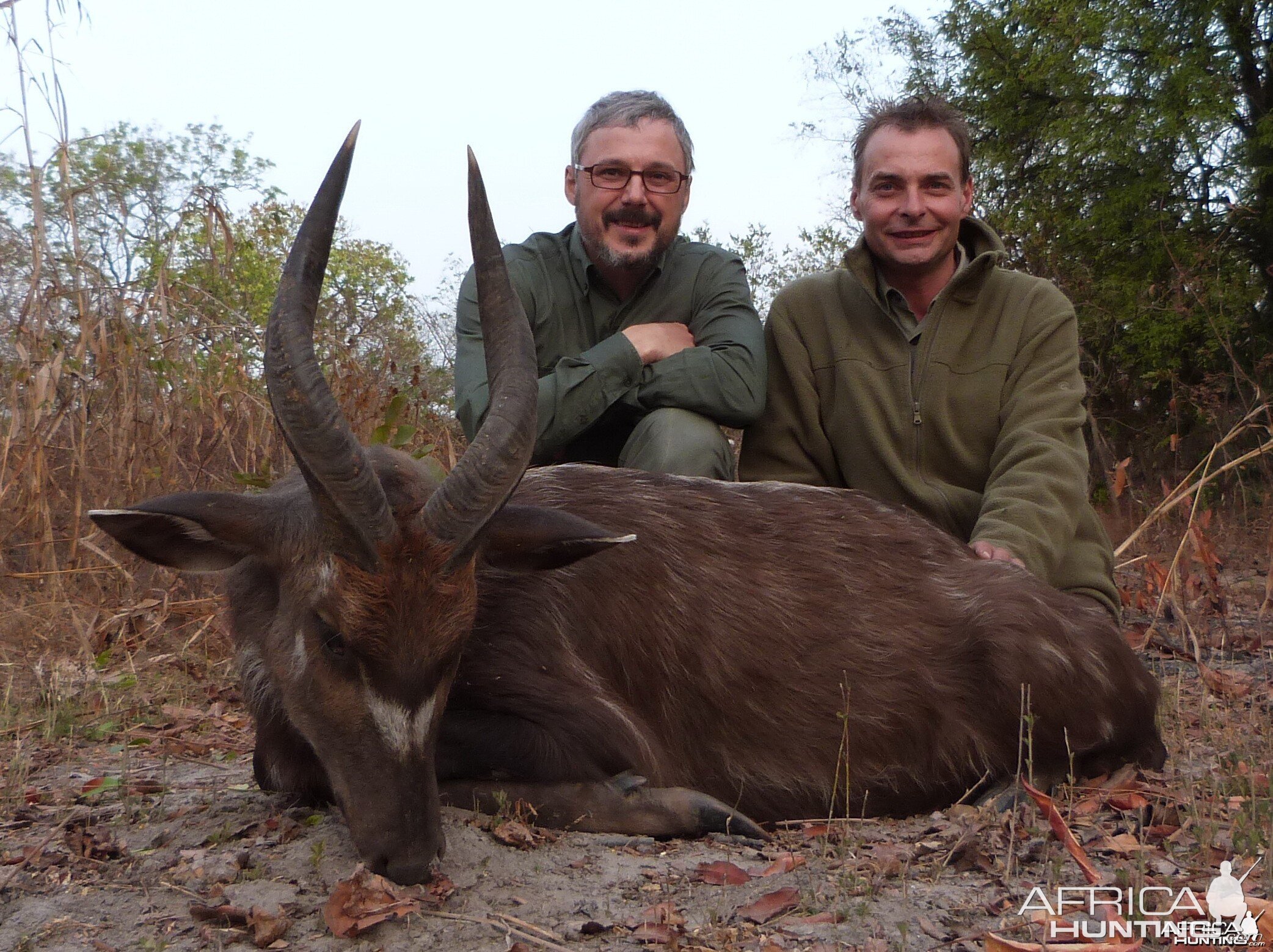 Western Sitatunga hunted in Central Africa with Club Faune