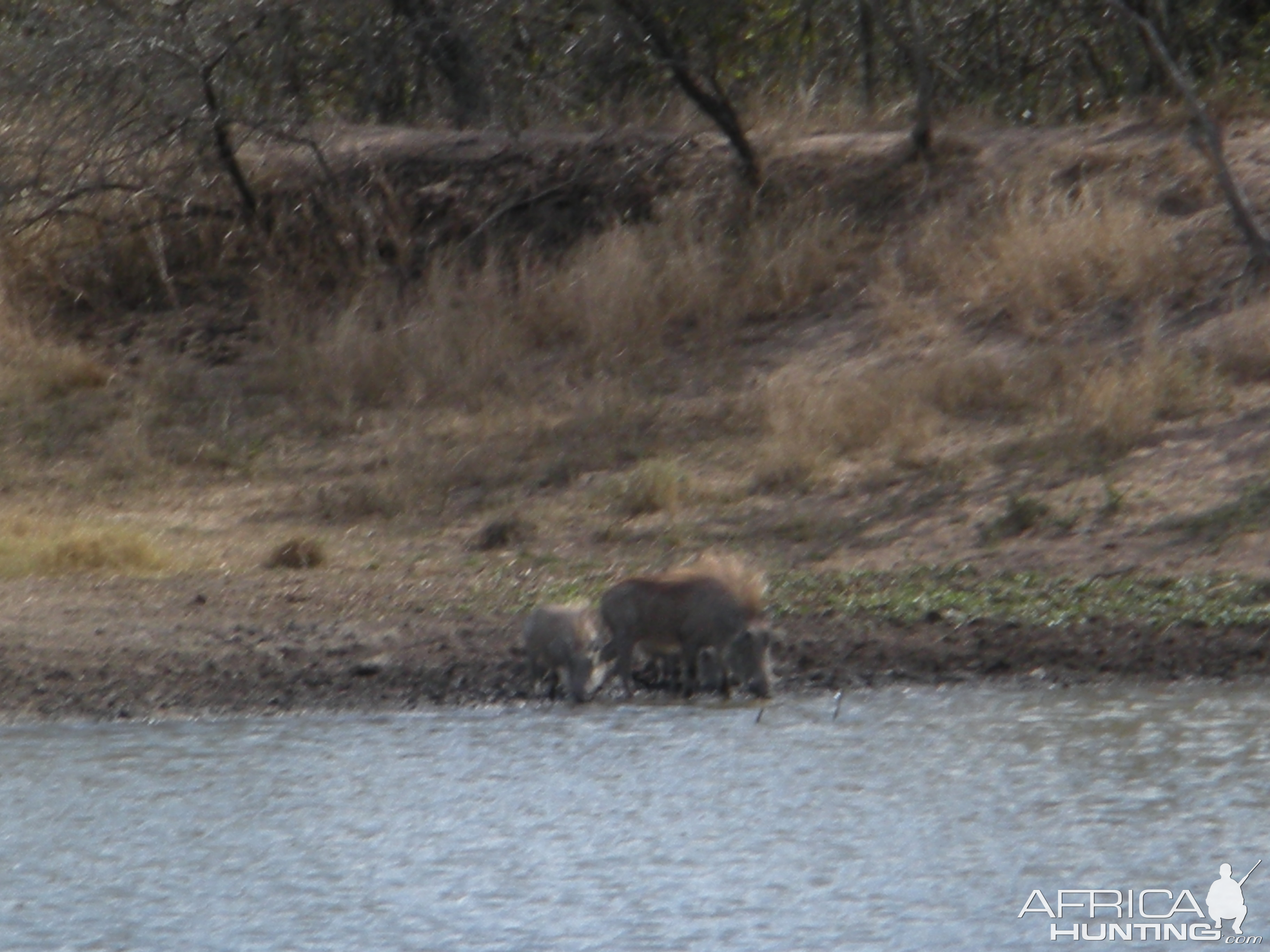 While fishing at the pond