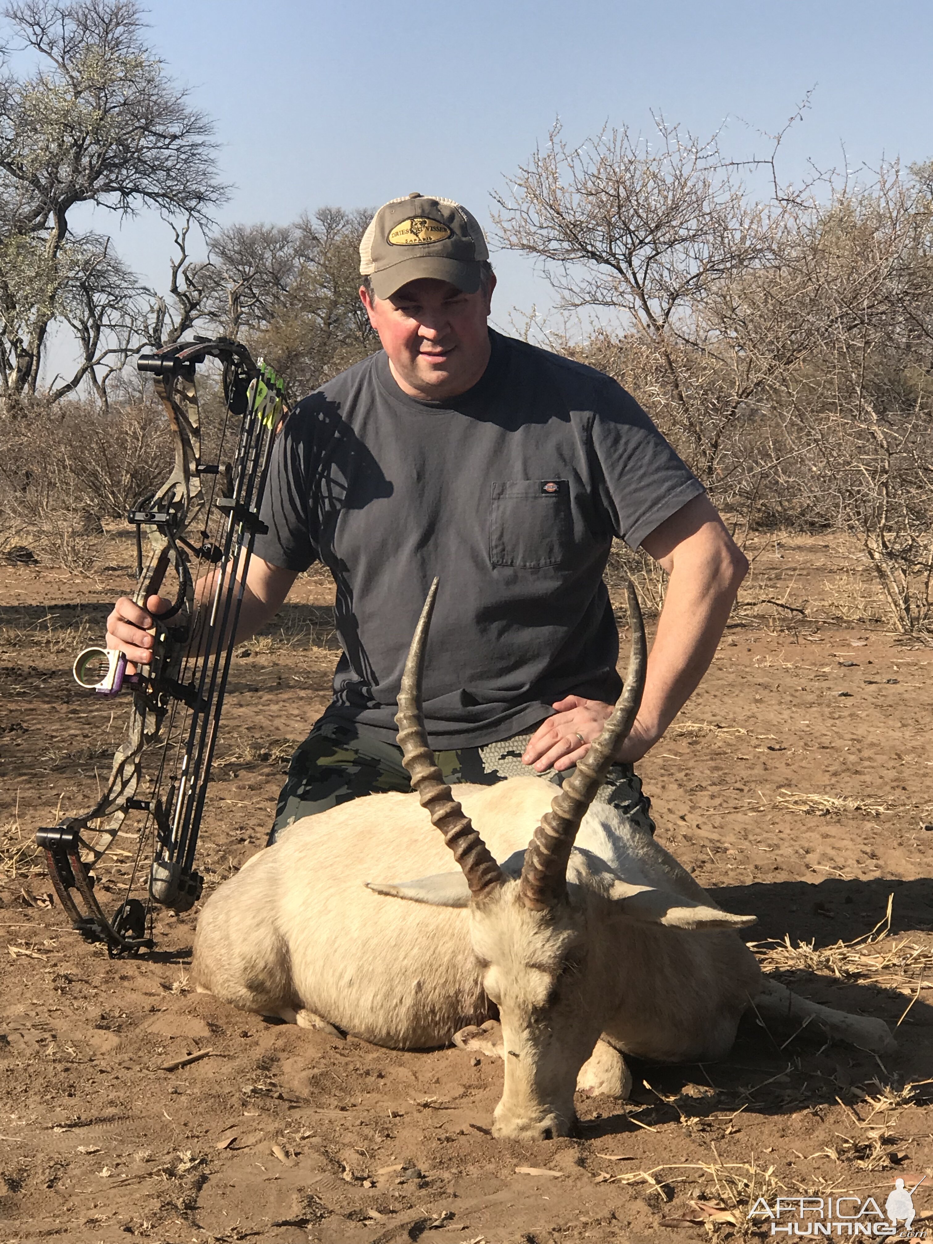 White Blesbok Bow Hunt South Africa