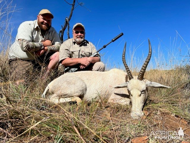 White Blesbok Hunt South Africa