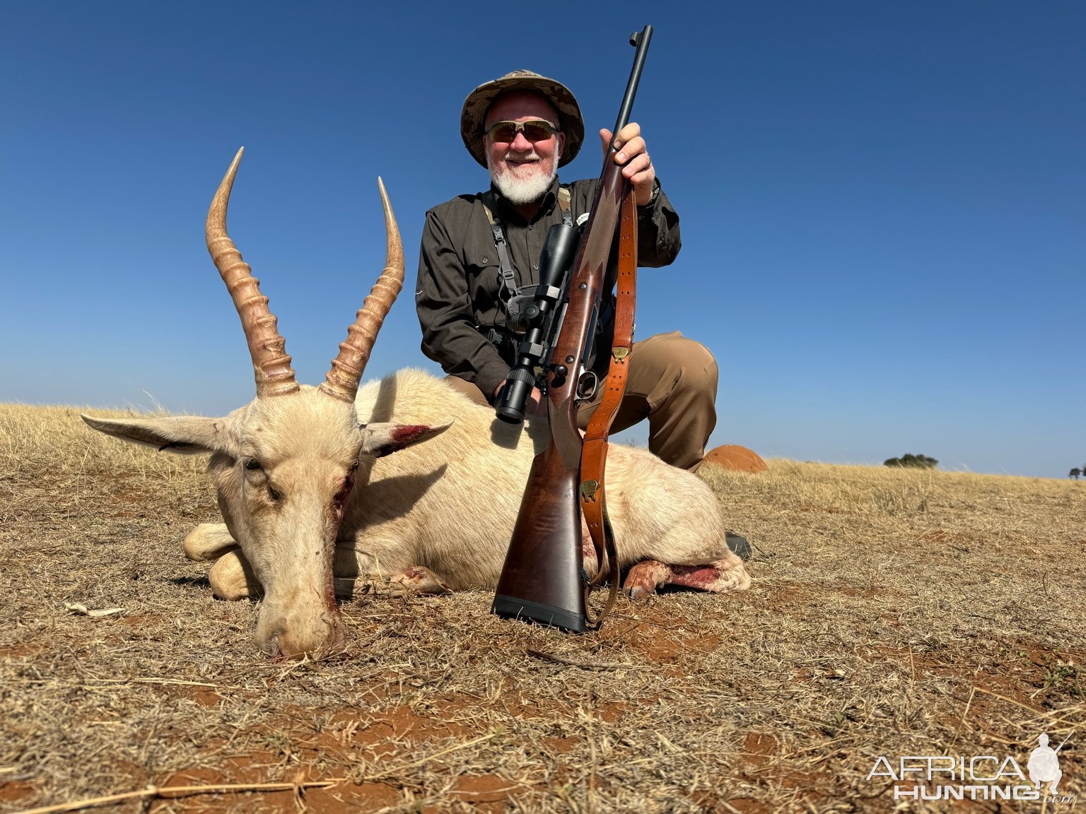 White Blesbok Hunt South Africa