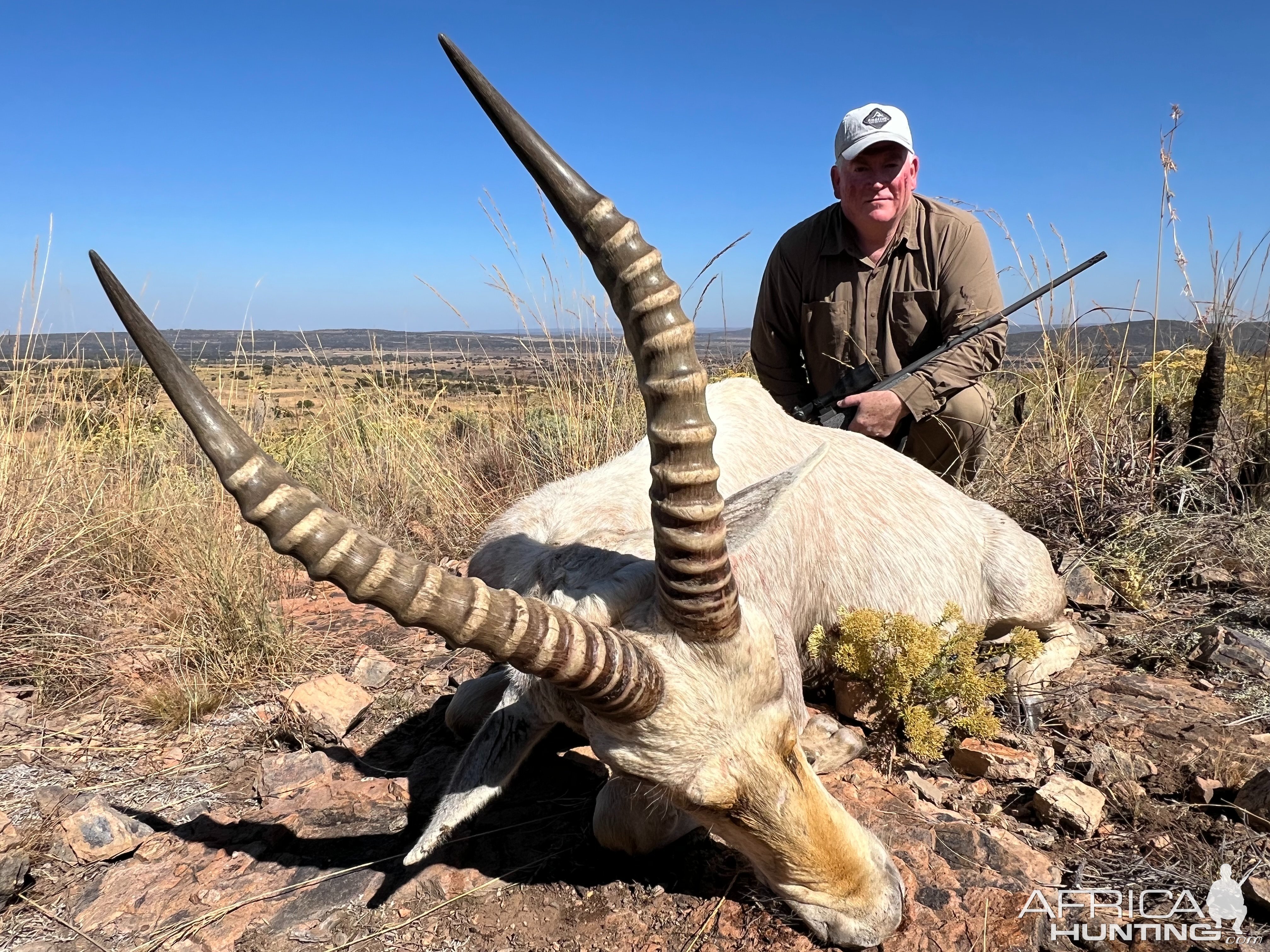 White Blesbok Hunt South Africa