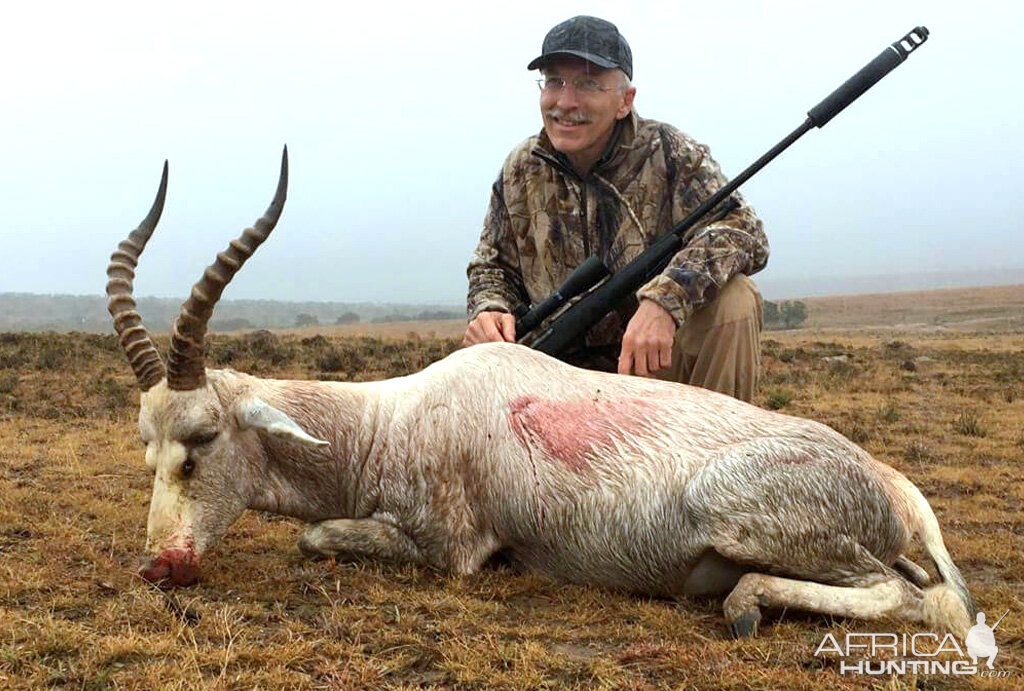 White Blesbok Hunt South Africa