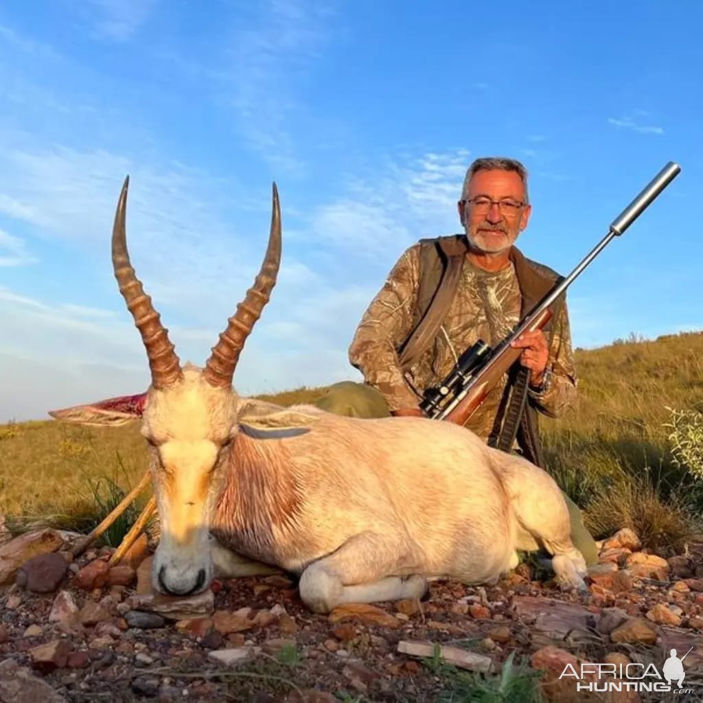 White Blesbok Hunting Eastern Cape South Africa