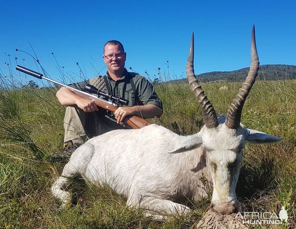 White Blesbok Hunting South Africa