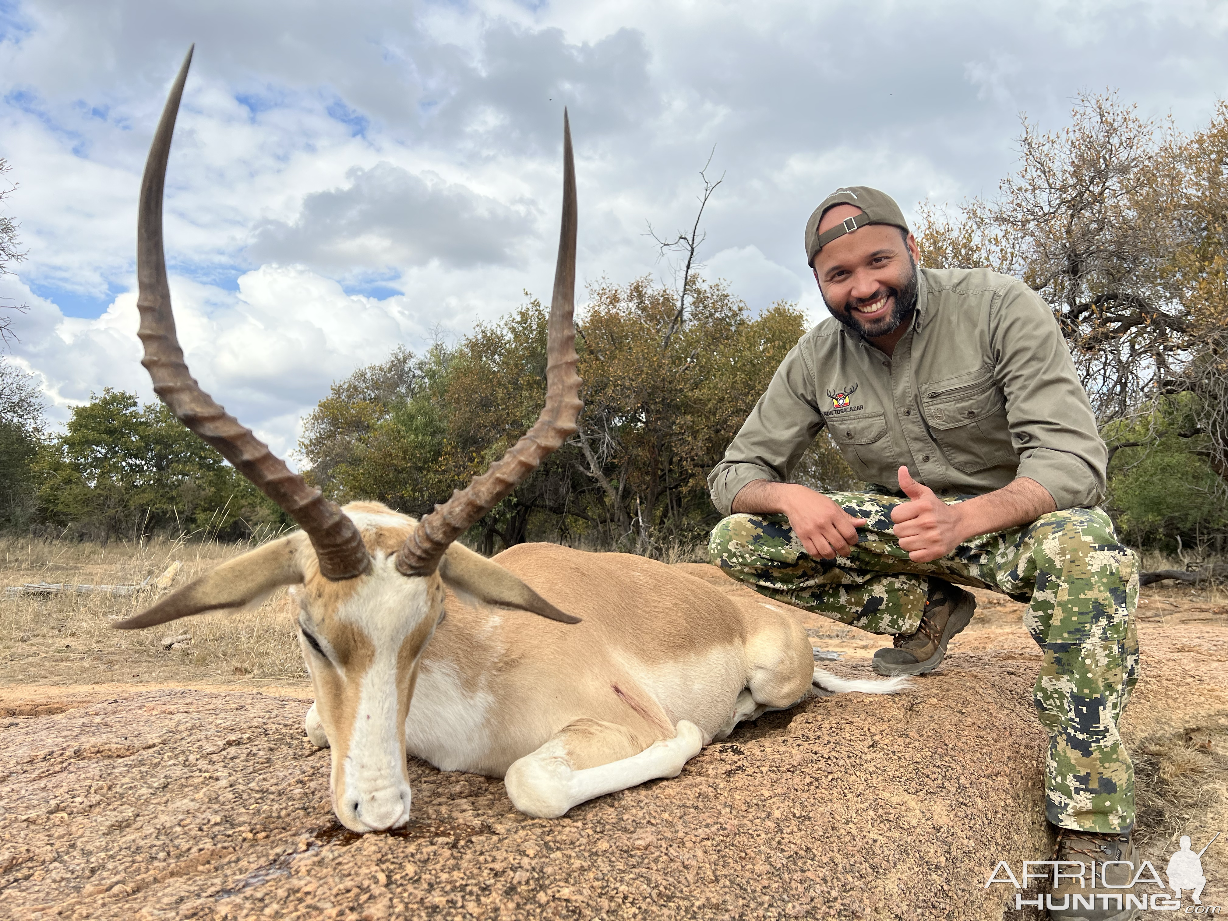 White Flanked Impala