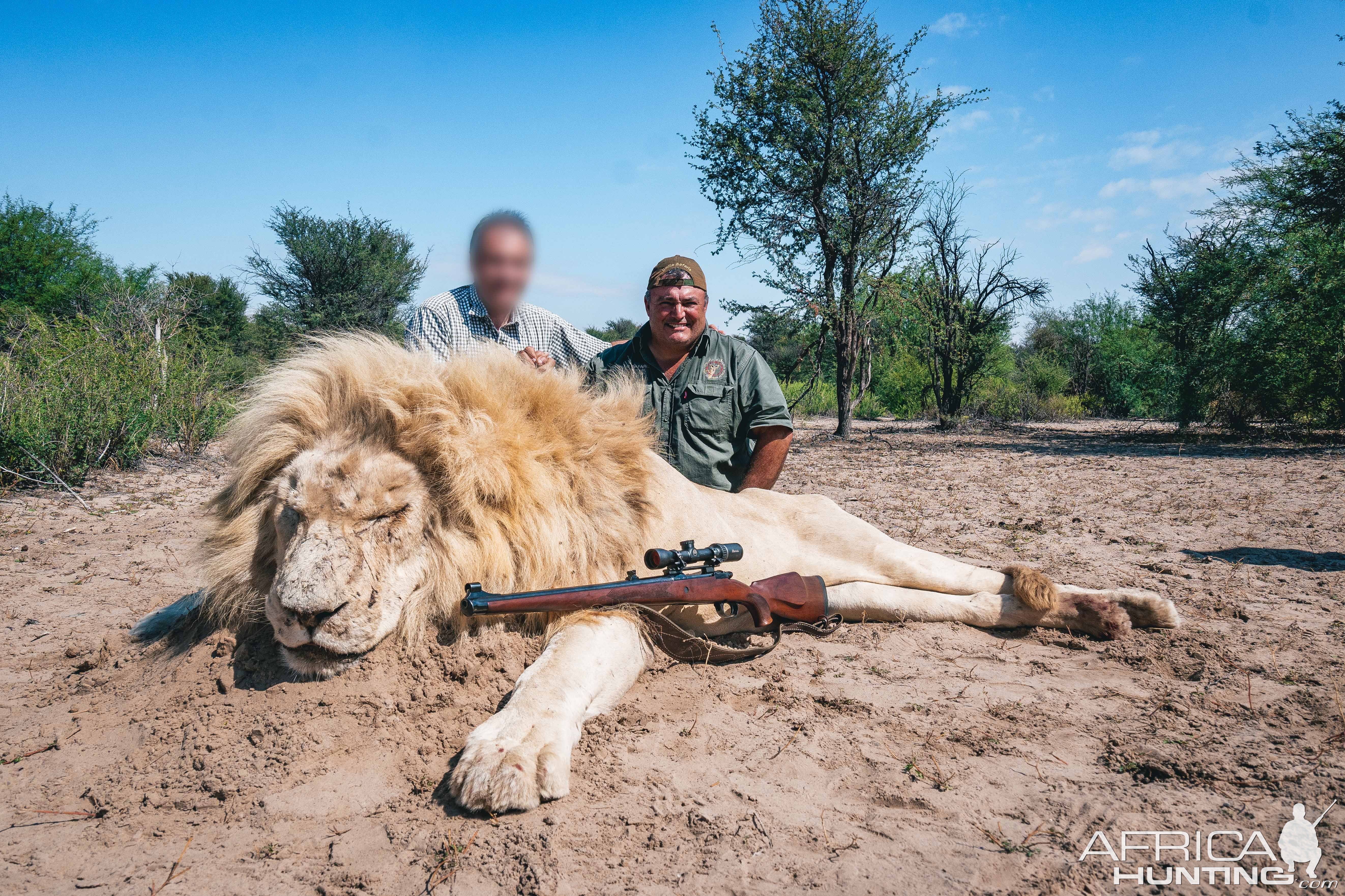White Lion Hunt South Africa