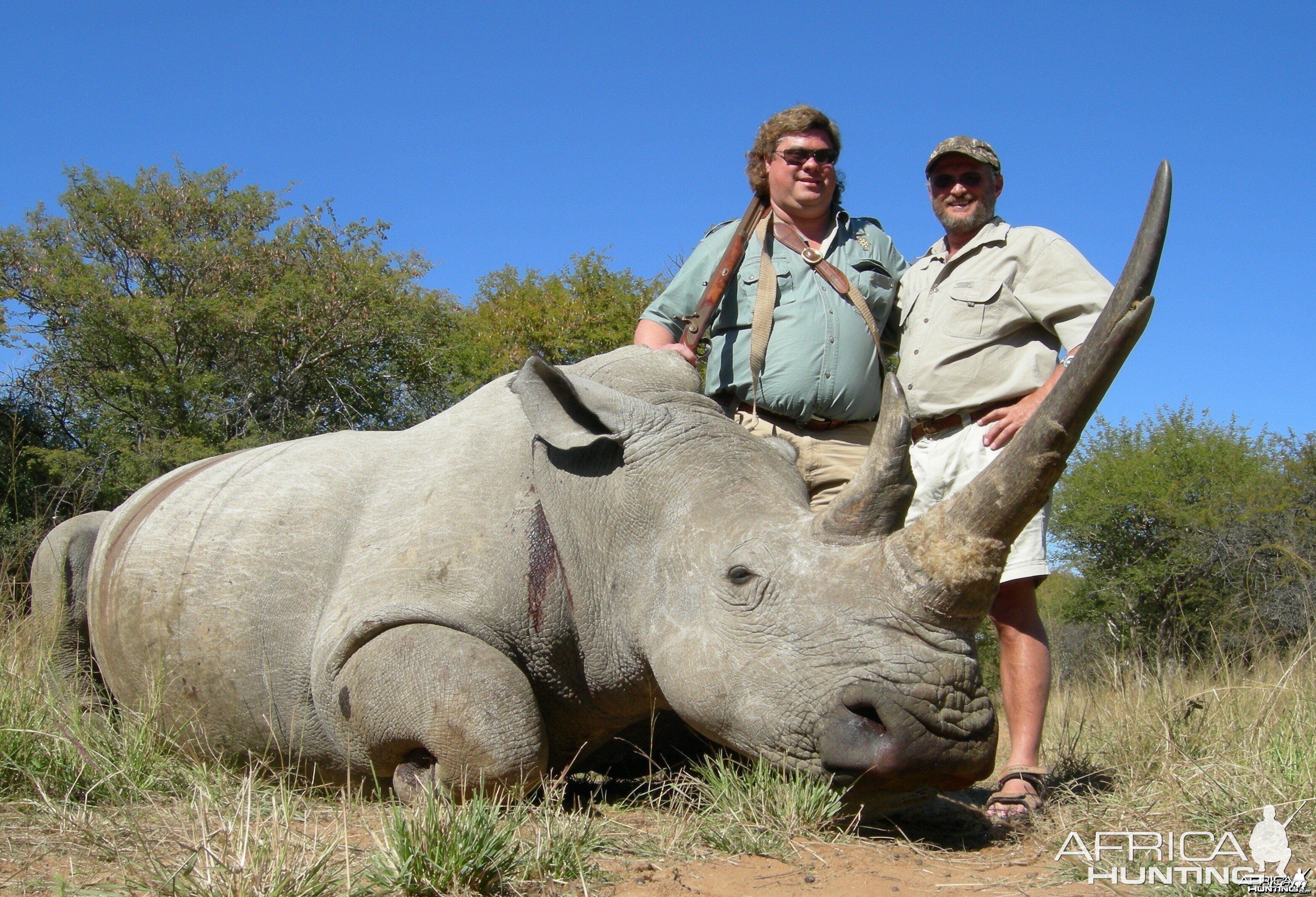 White Rhino Hunt | AfricaHunting.com