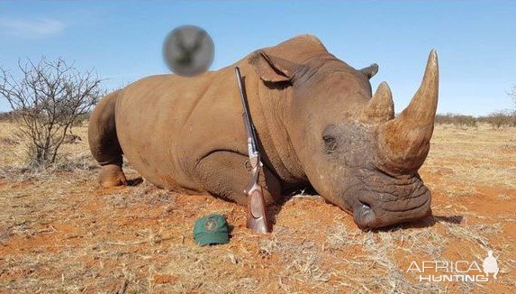 White Rhino Hunting South Africa