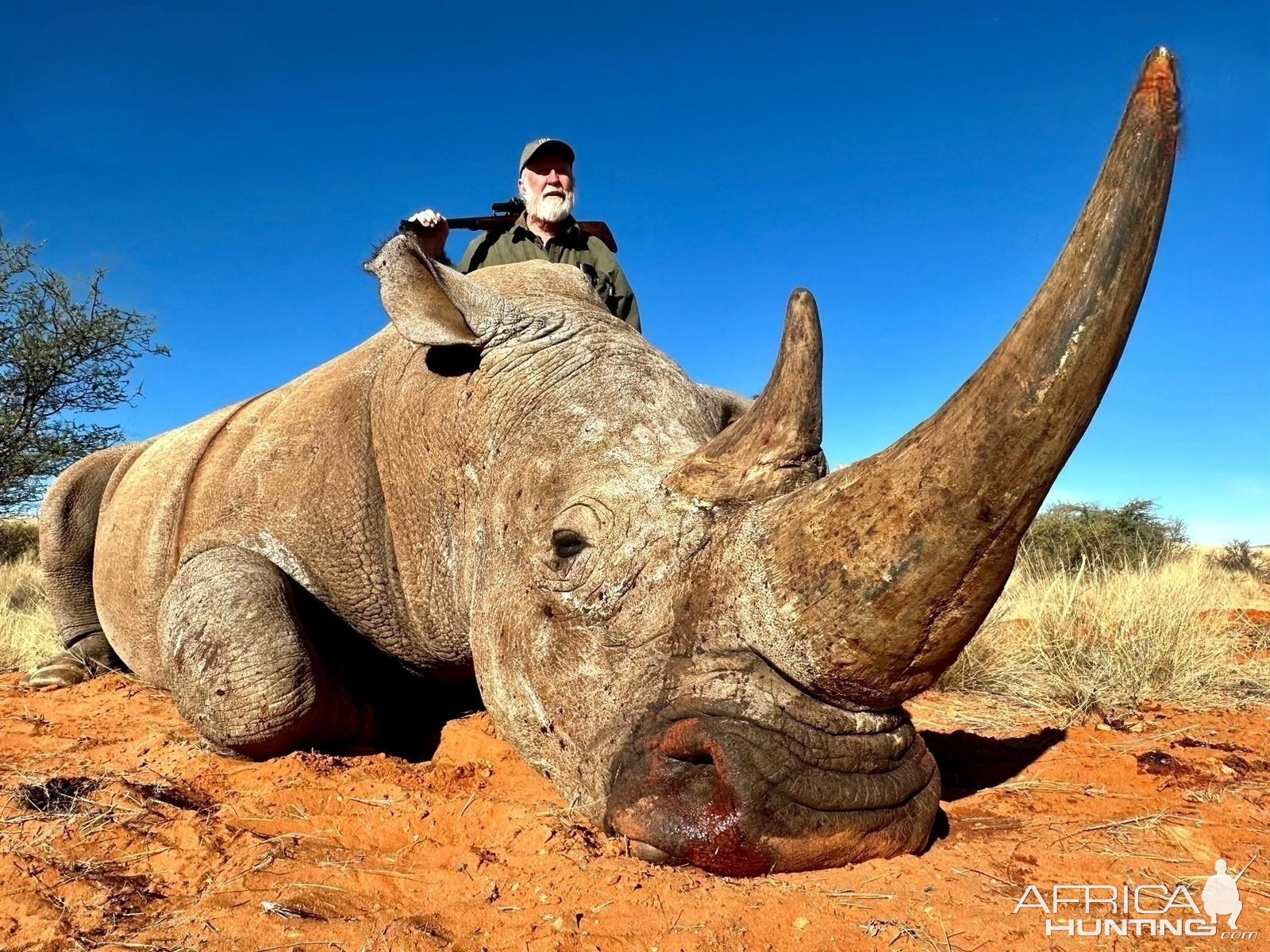 White Rhino Hunting | AfricaHunting.com