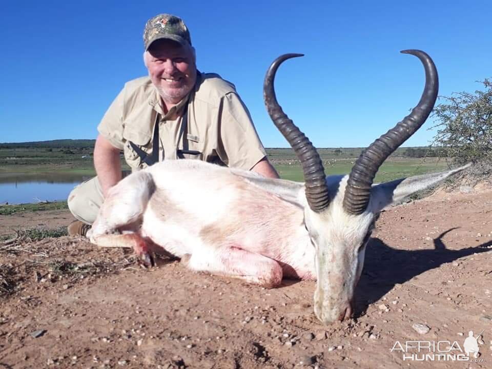 White Springbok 2019